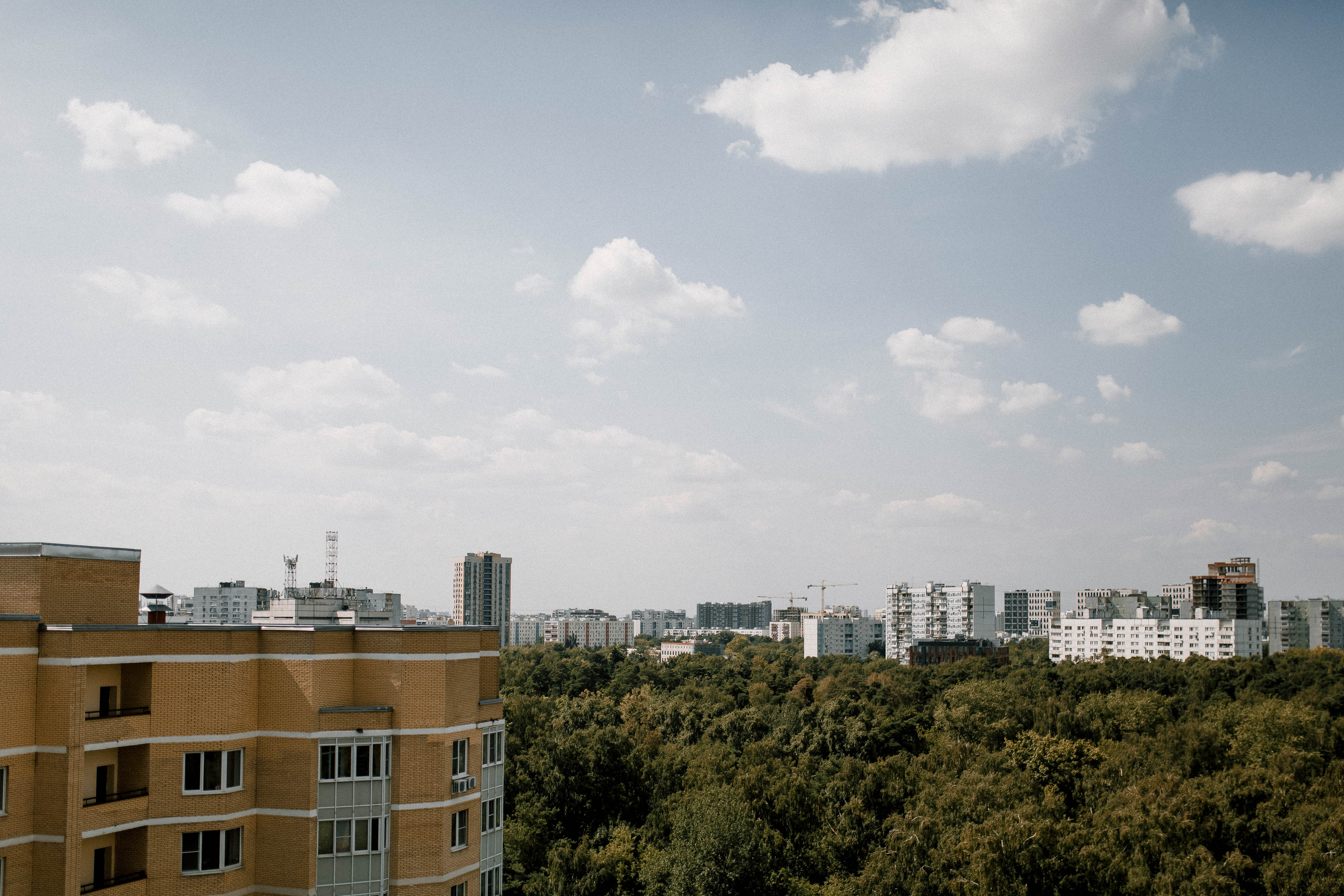 РОМА И ДАША. Свадебный и семейный фотограф Москва Екатерина Верижникова