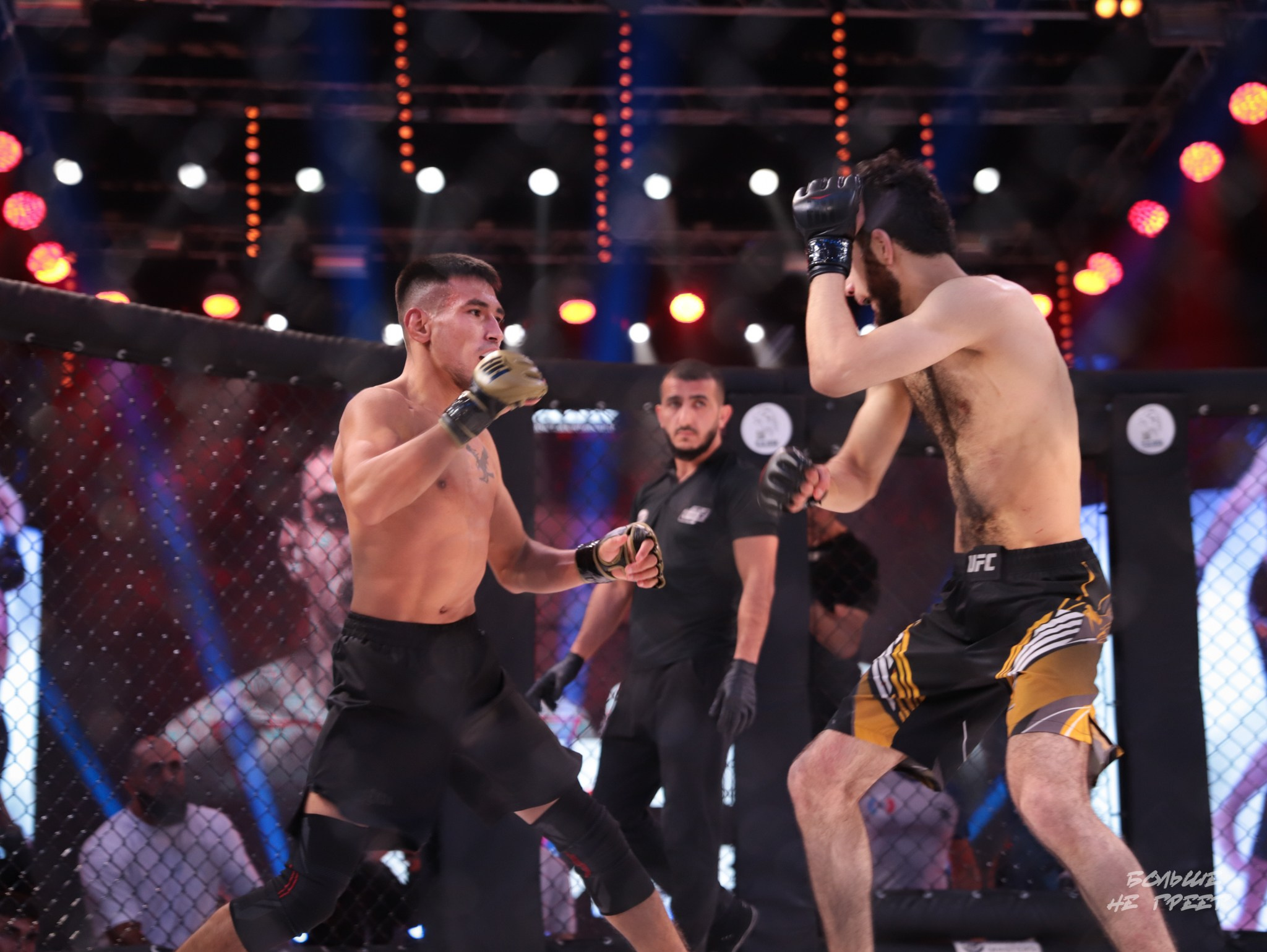 SABR FIGHTING. Больше не греет