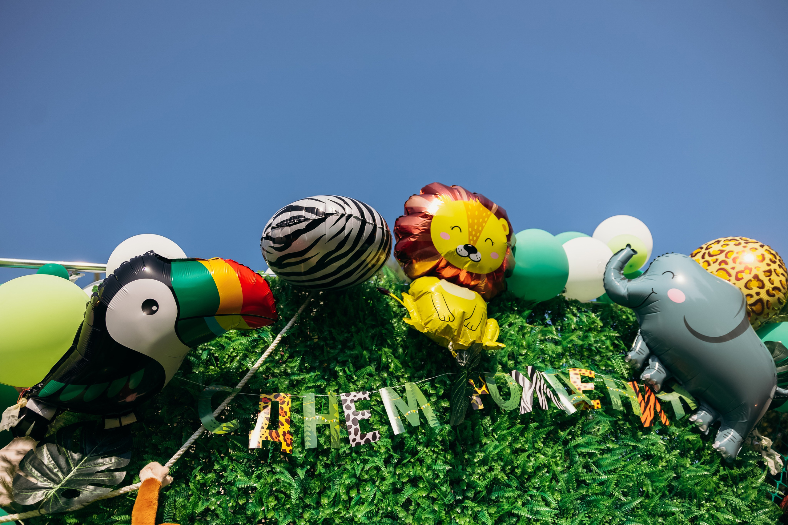 День рождения. Фотограф свадебный семейный в Красноярске Шукшина Наталья