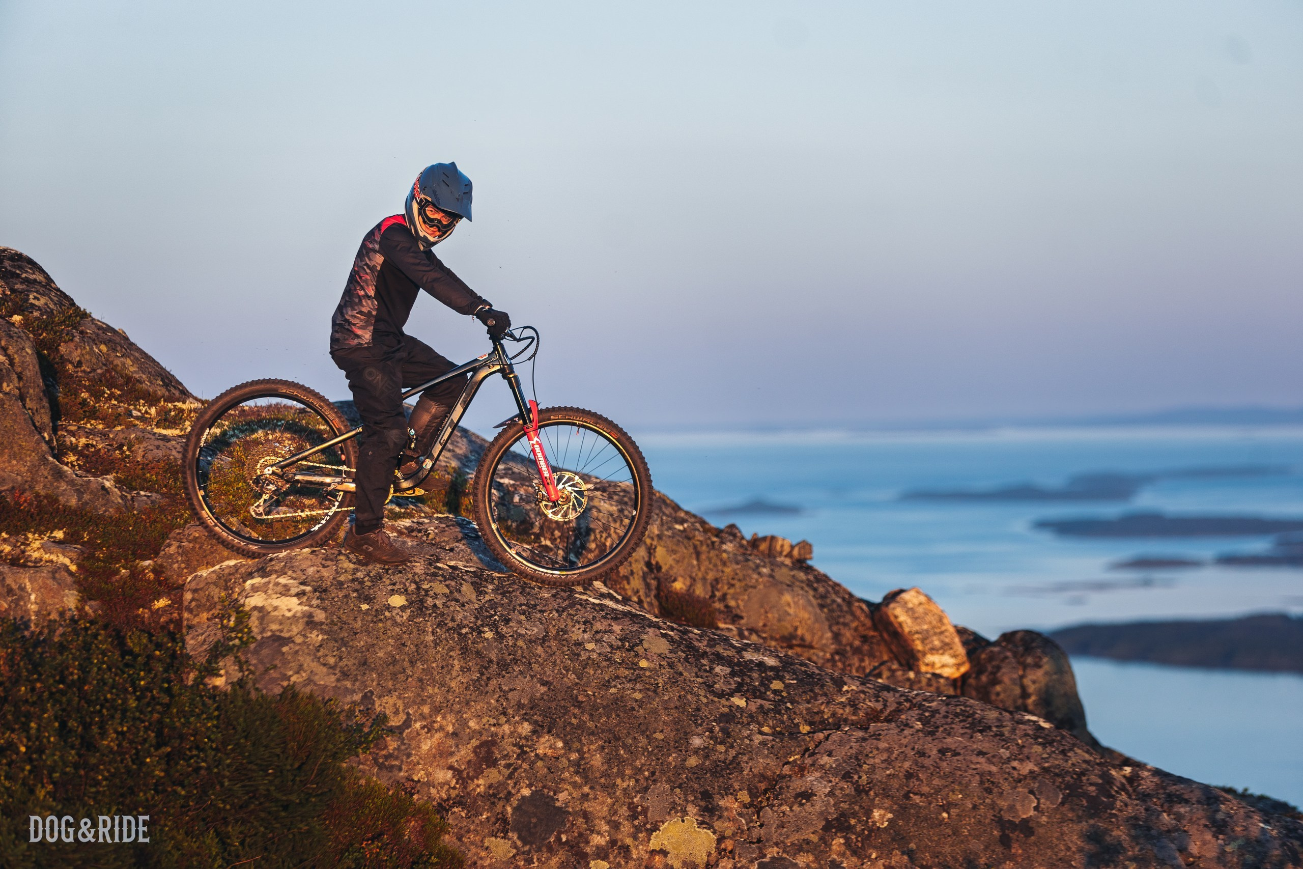 Кандалакшка. Фотограф анималист Никита Натальный