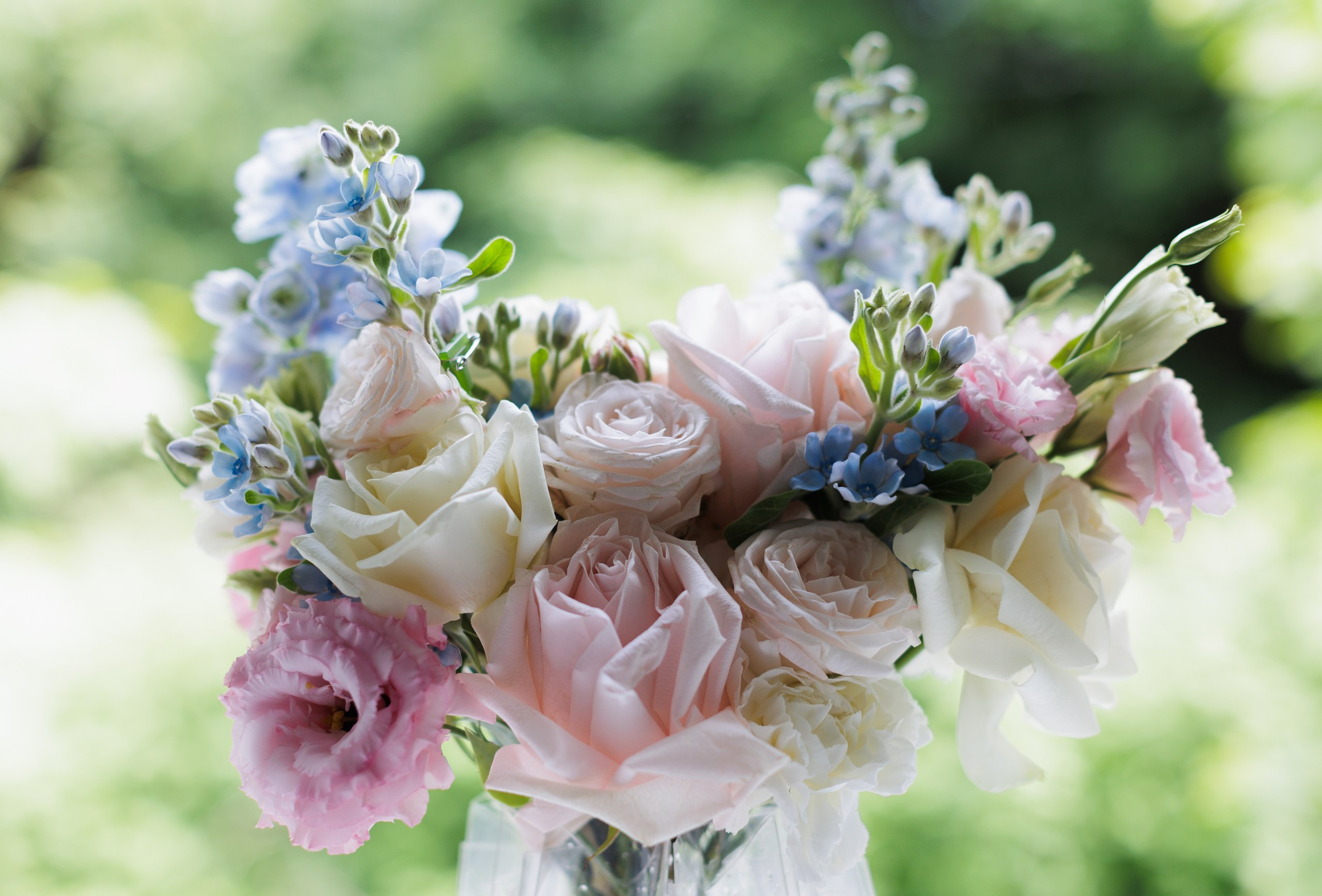 Андрей и Ксения. Организация и координация свадебных и семейных торжеств