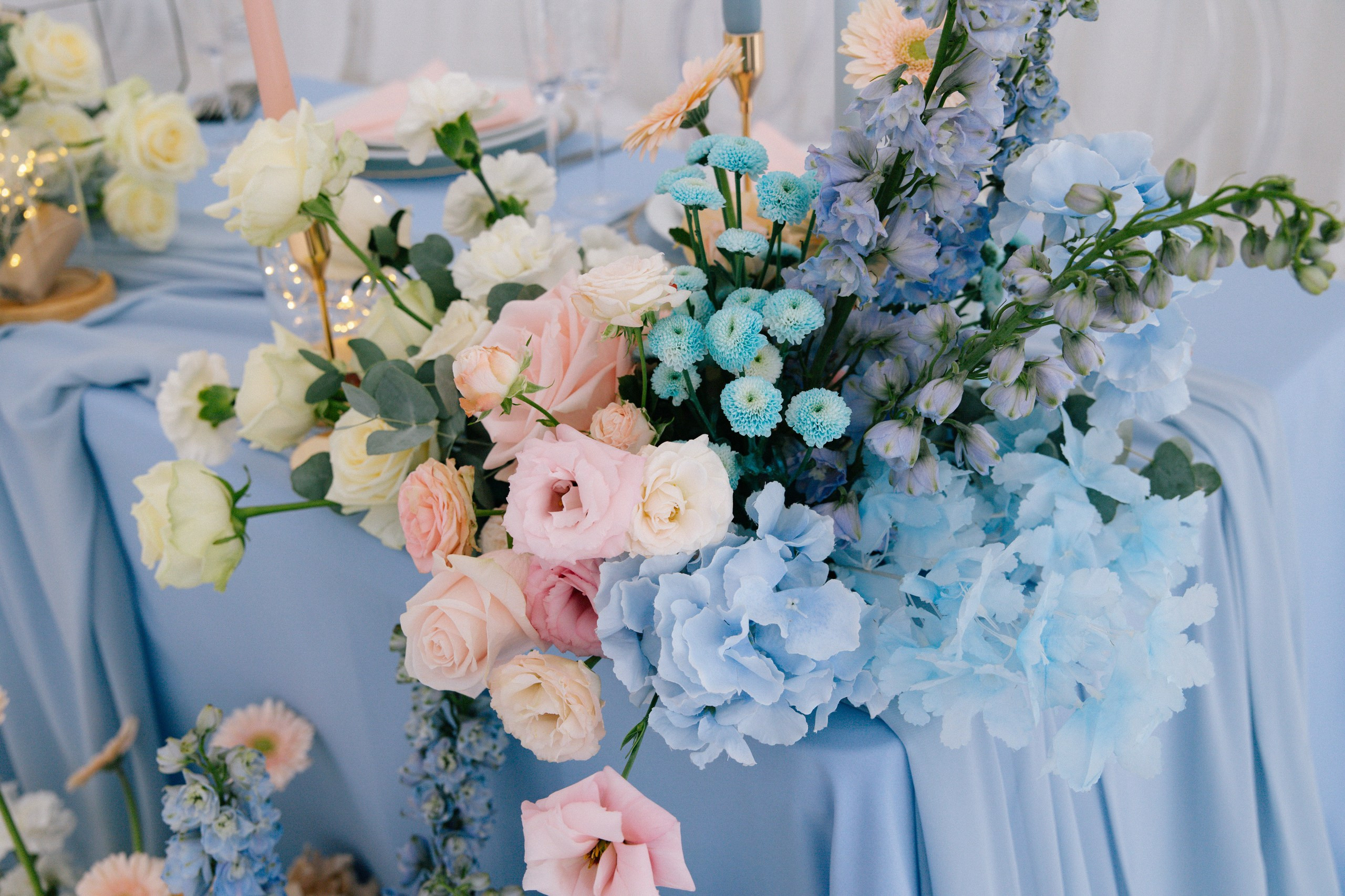 Андрей и Ксения. Организация и координация свадебных и семейных торжеств