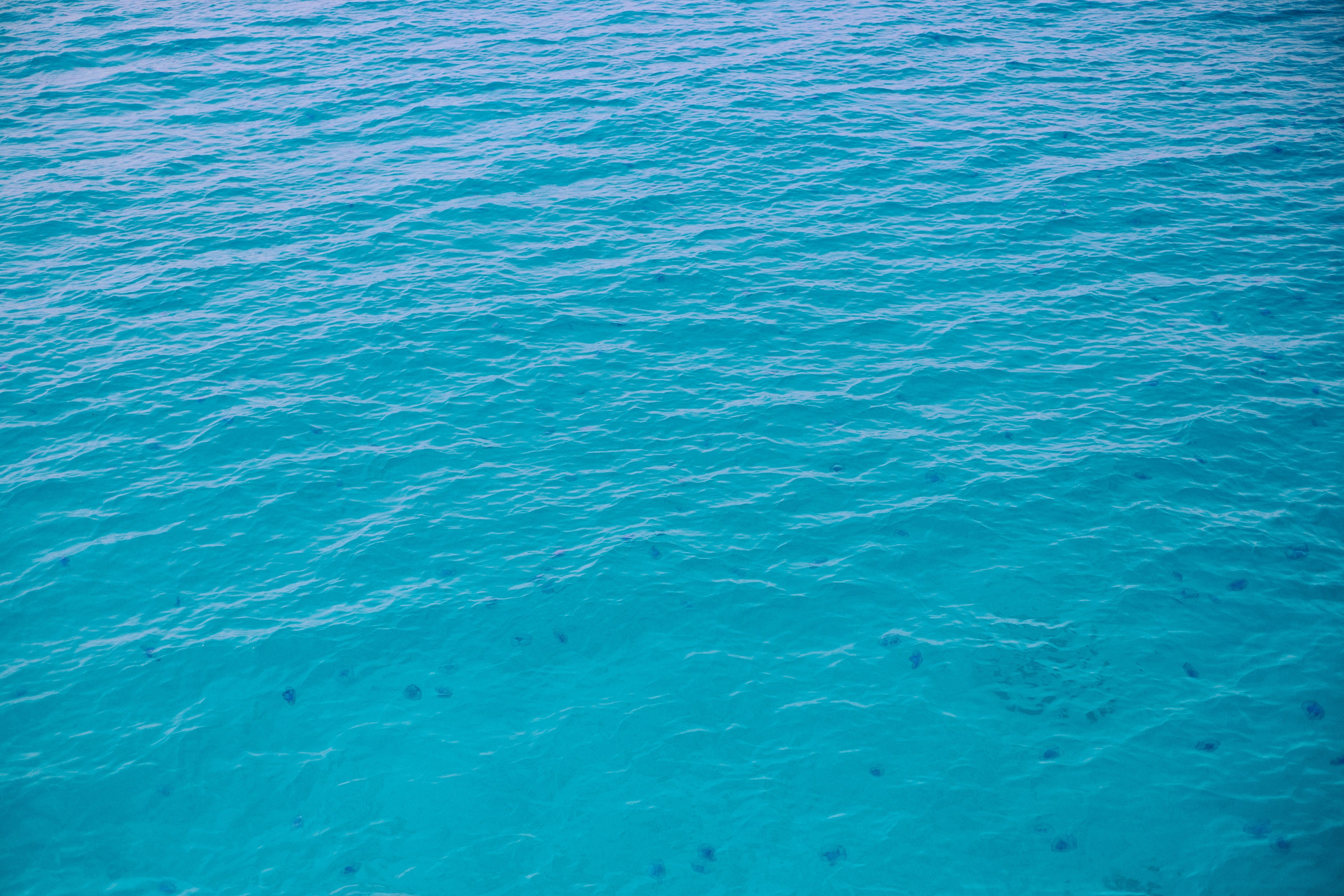 Другое 2. Jorgis Talè — photographer, kind person, teacher of arts and other mag