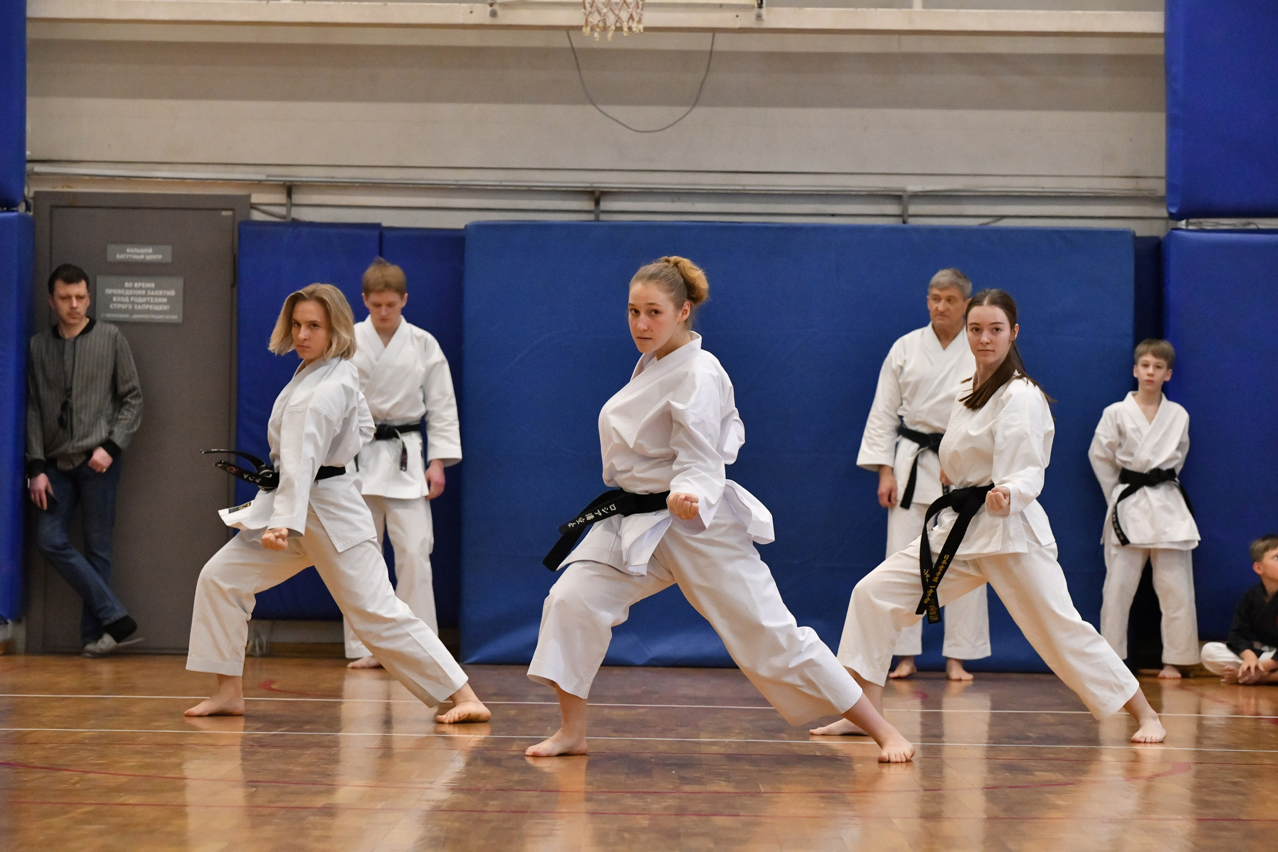 Карате. XXIII фестиваль школ японской борьбы. Фото детских спортивных мероприятий и всякое интересное через объектив