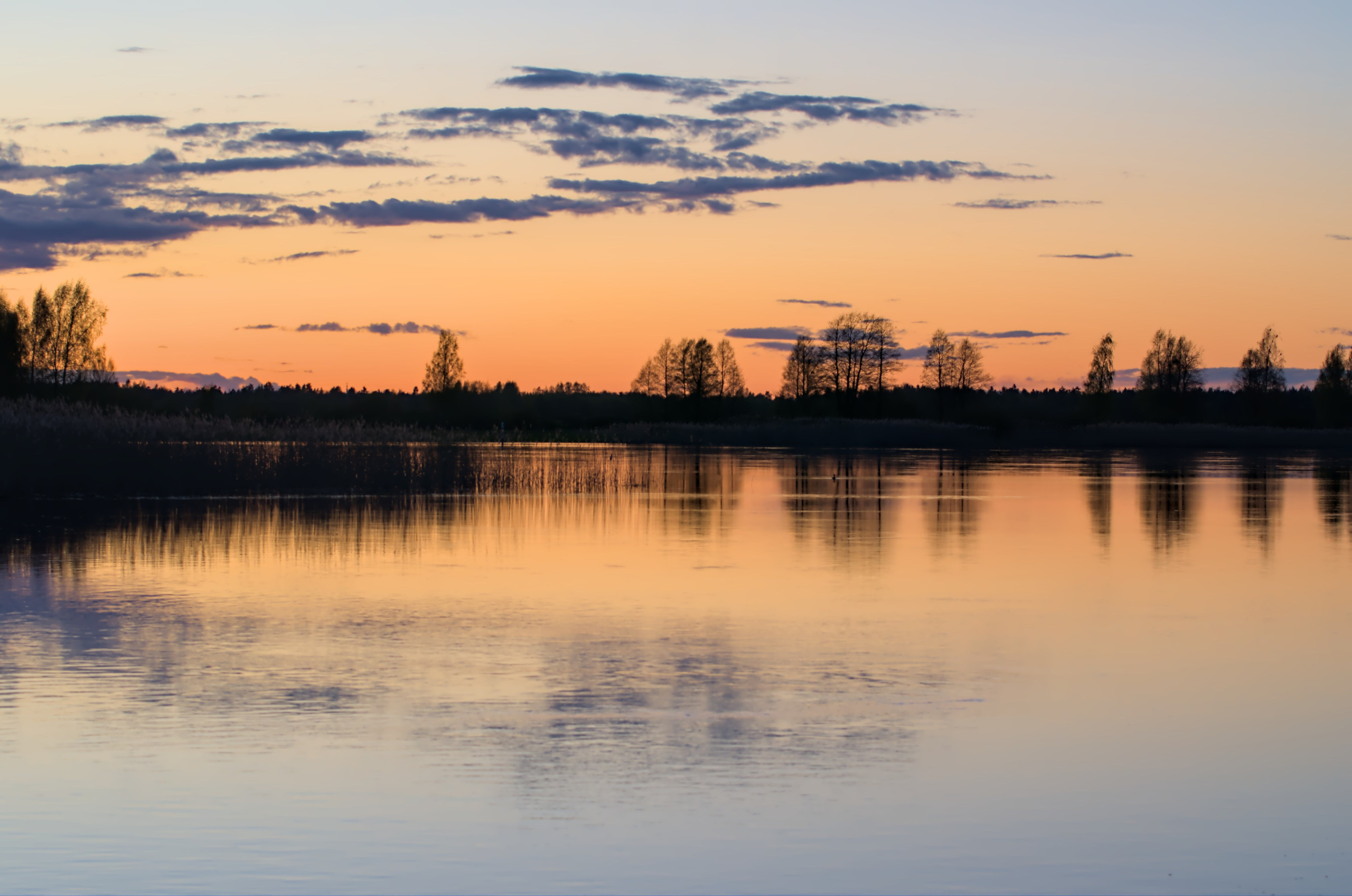 Природа. Фото детских спортивных мероприятий и всякое интересное через объектив