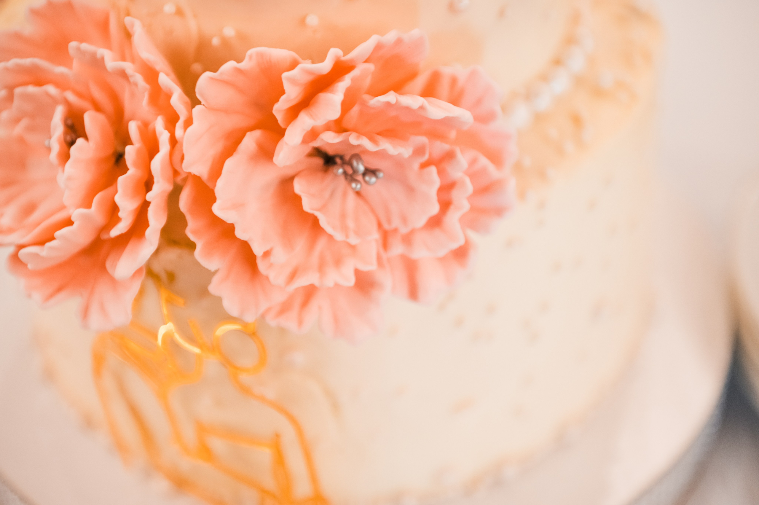 Роман и Ольга. Организация свадеб под ключ в Раменском