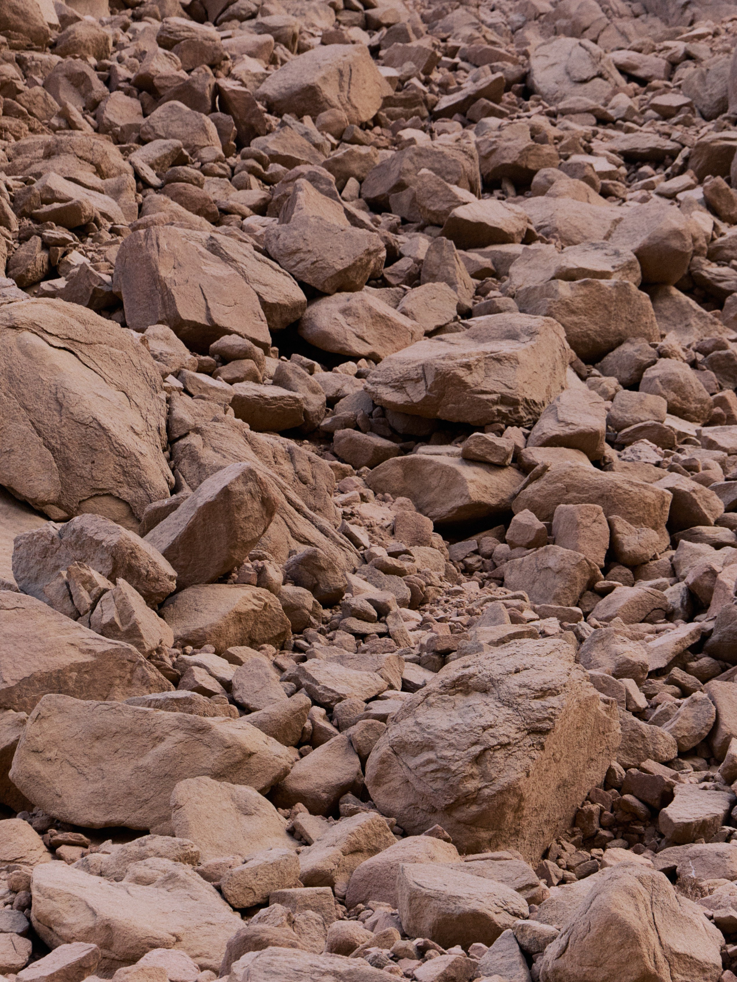 Другое 3. Jorgis — фотограф в Хургаде / обучение фотографии