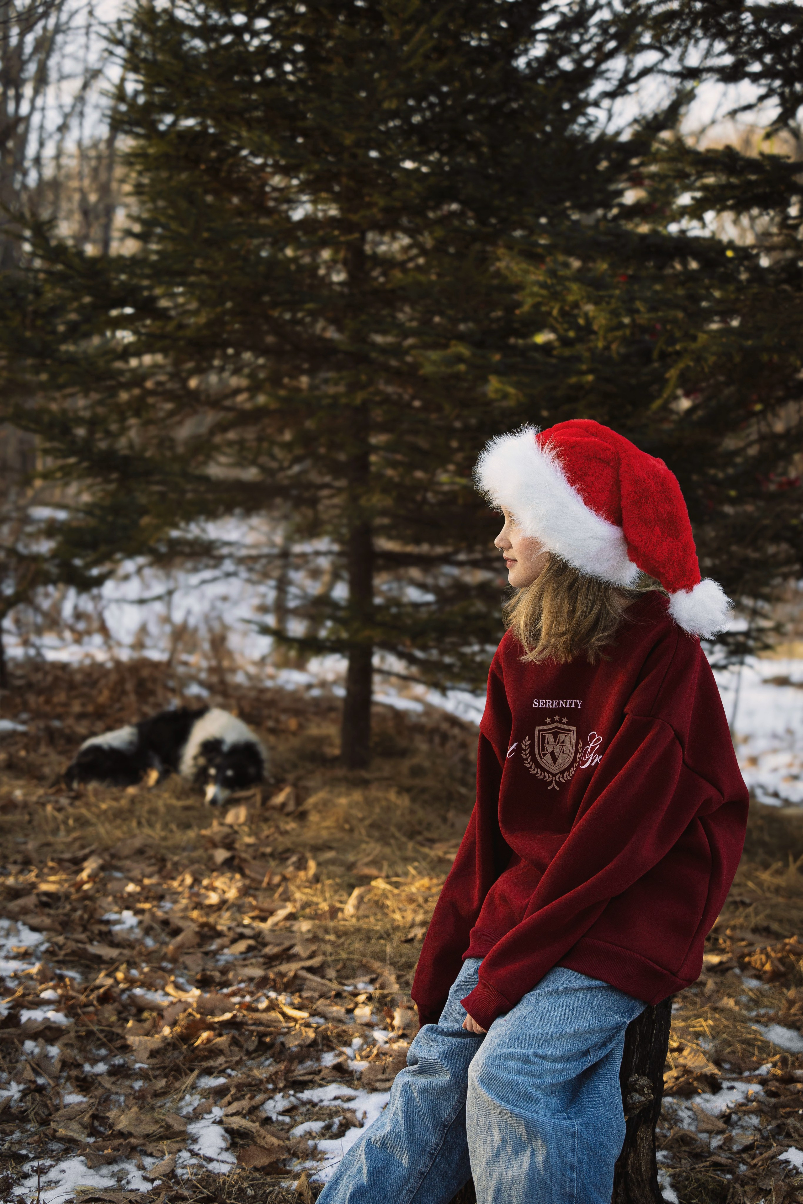 Фотодень «Символ 2026 года». Семейный фотограф анималист г. Находка