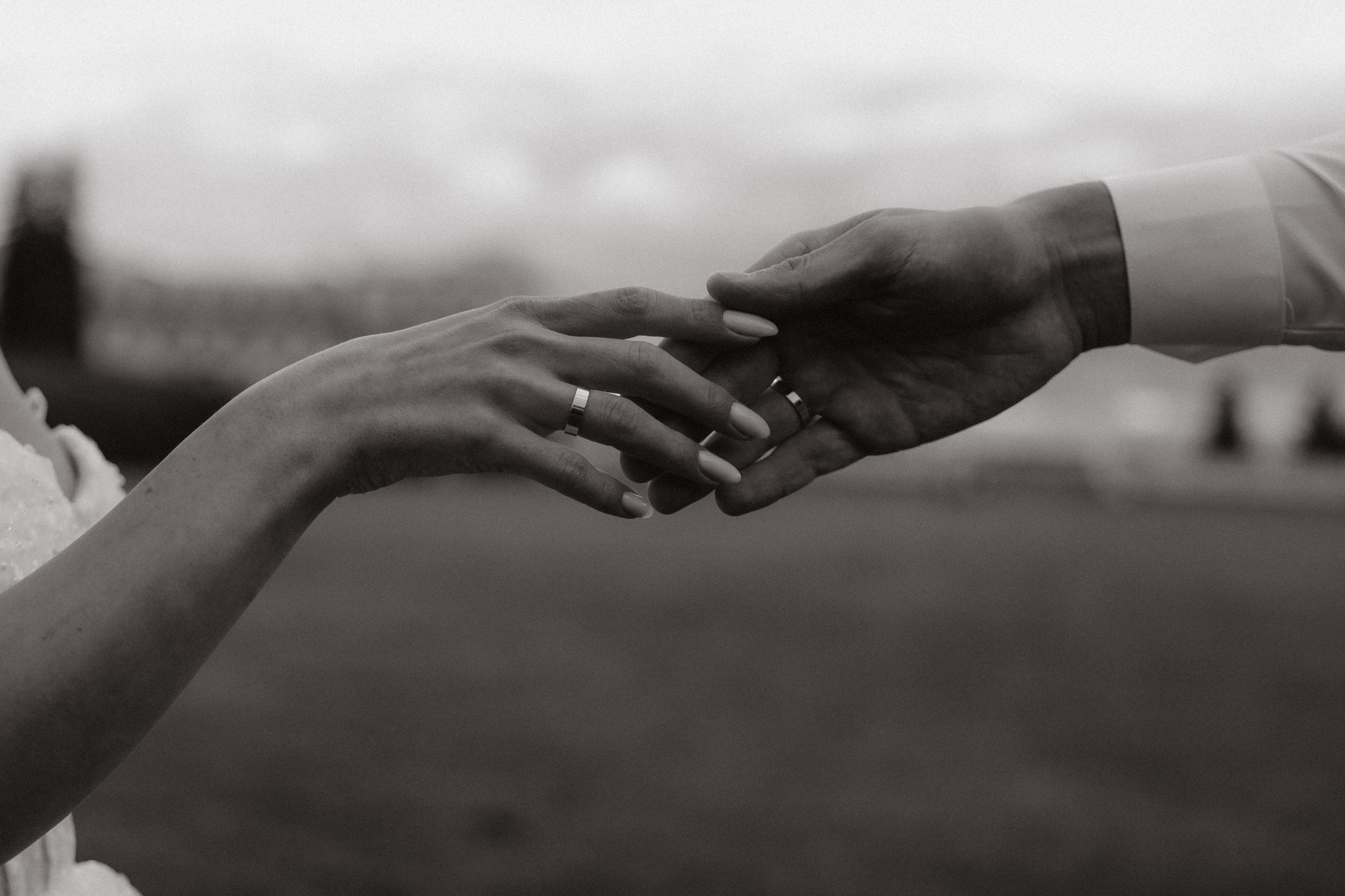 Т&И. Архангельское + Митинский ЗАГС. Диана Чечель. Свадебный и семейный фотограф в Москве