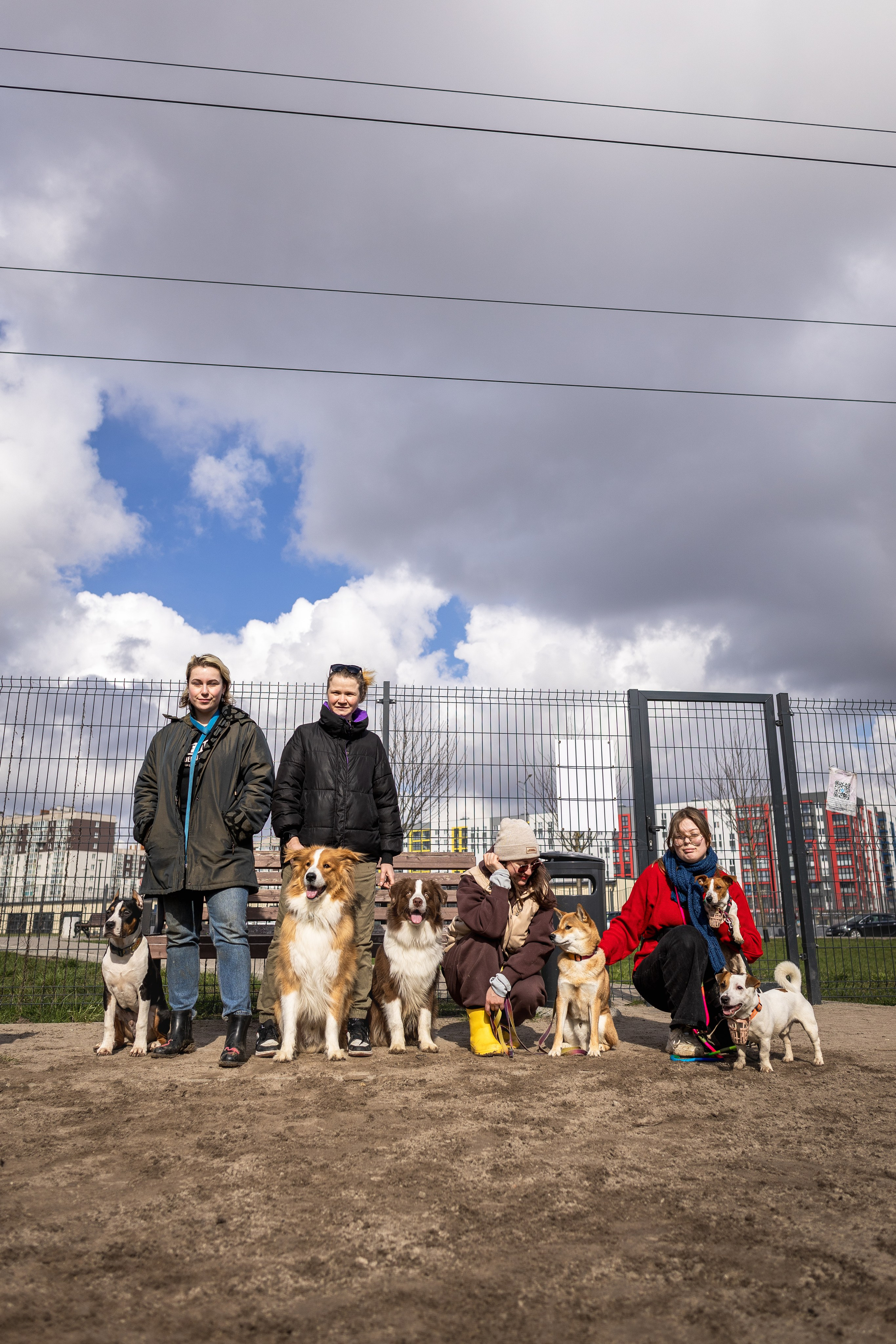 Догтуса 24.03.2024. Ирина Голомб|Фотограф-анималист в  Сочи и Калининграде