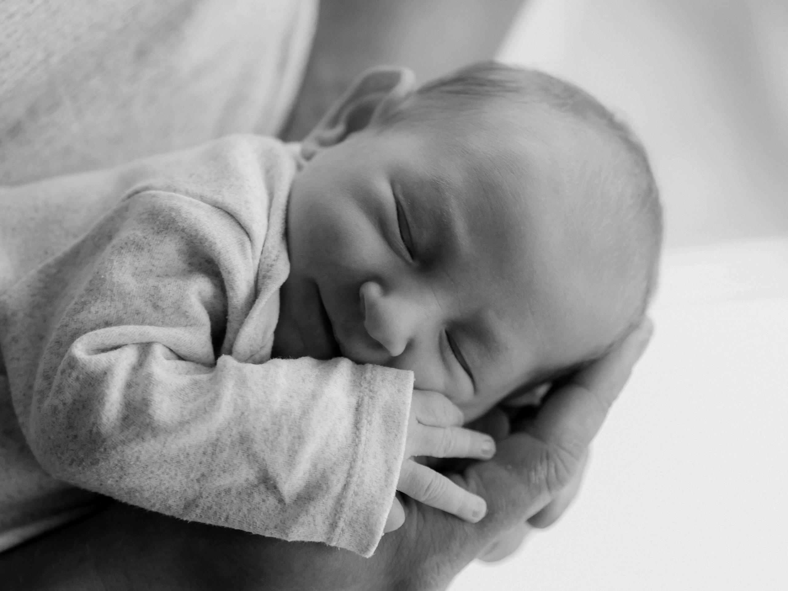 Любовь и котики. Мультифотограф Динара Ахмедзянова