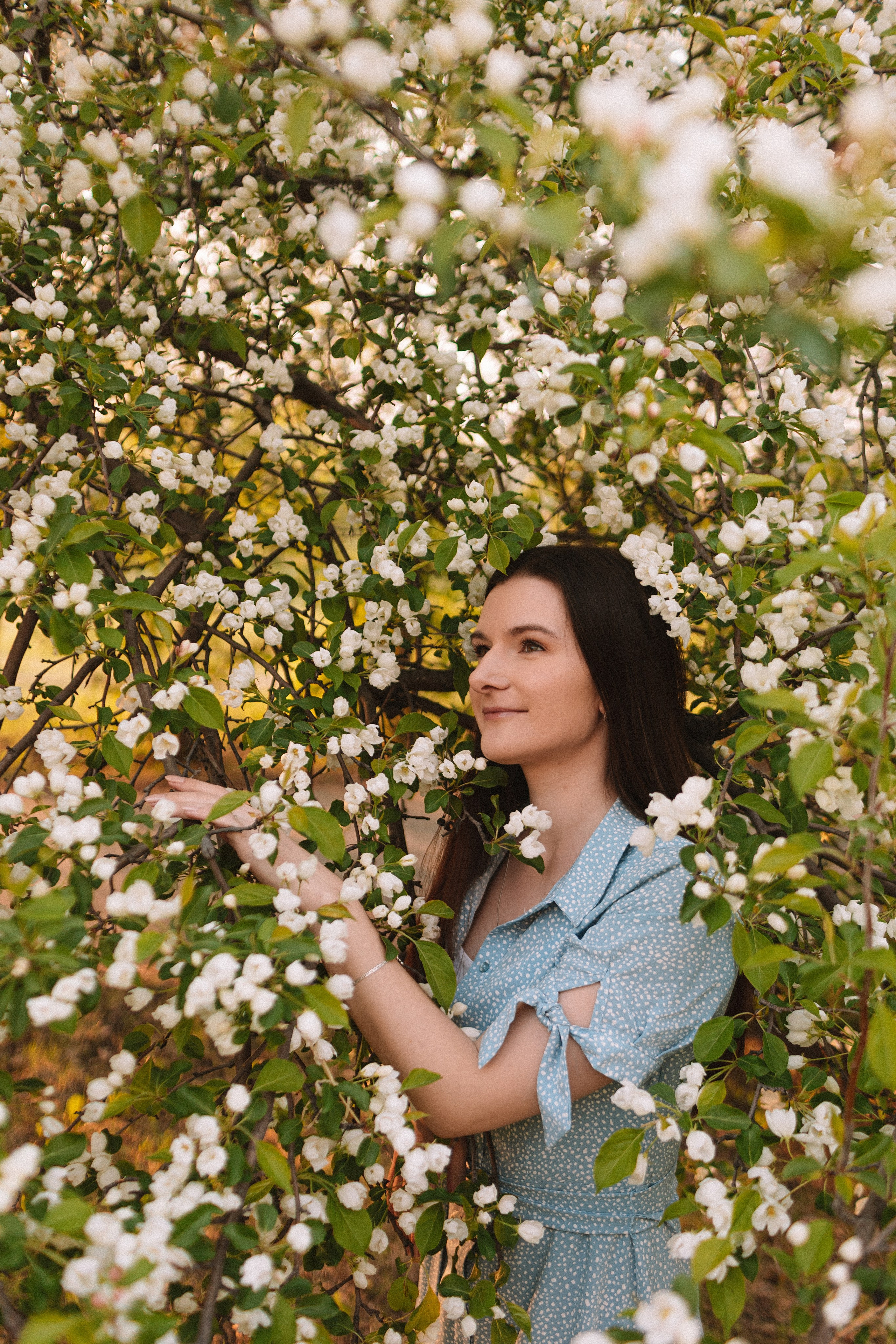 Яблони. Семейный фотограф Тюмень, фотограф на роды Салмина Мария