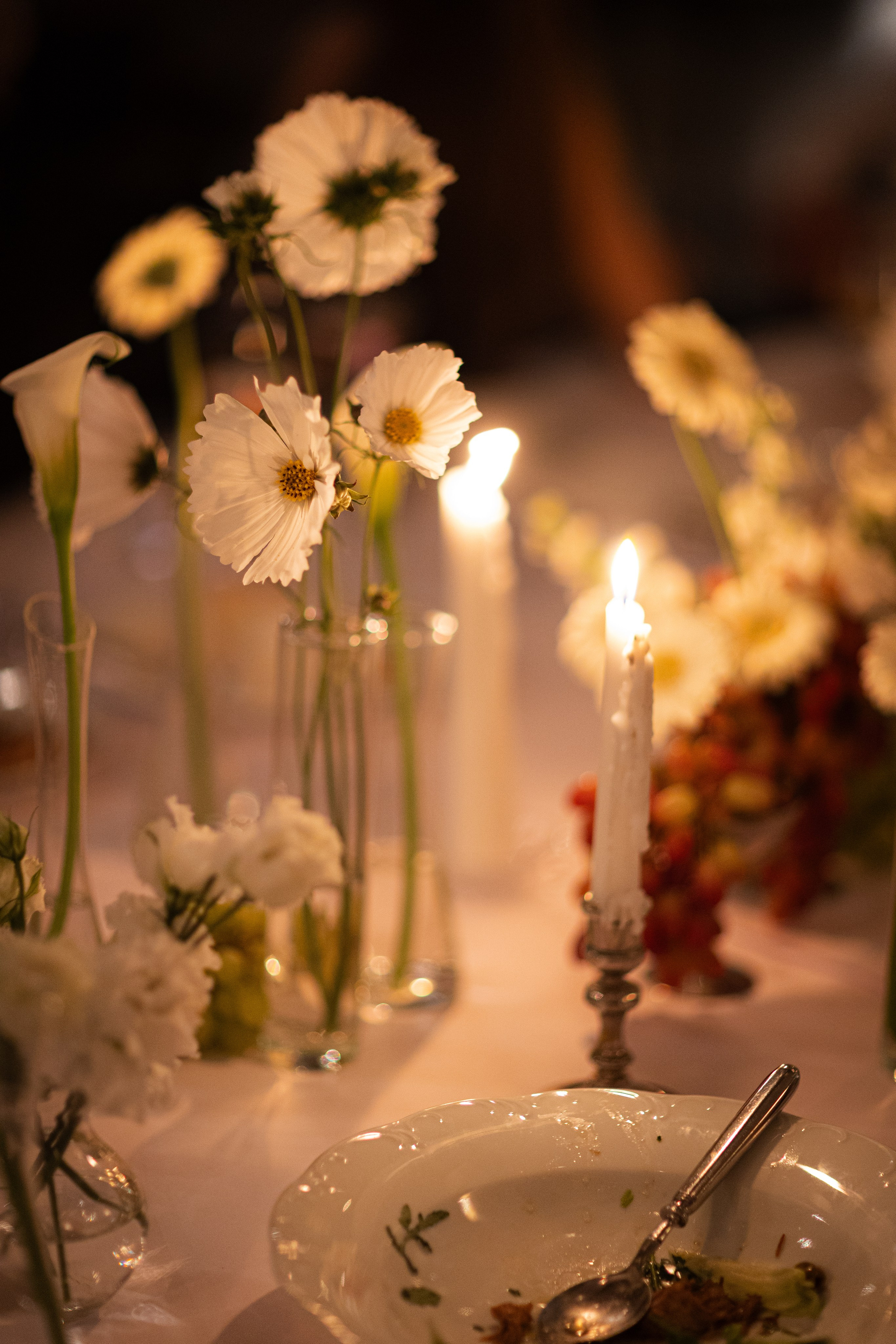 Анна и Владимир. Ваш фотограф — Александра Андрущенко