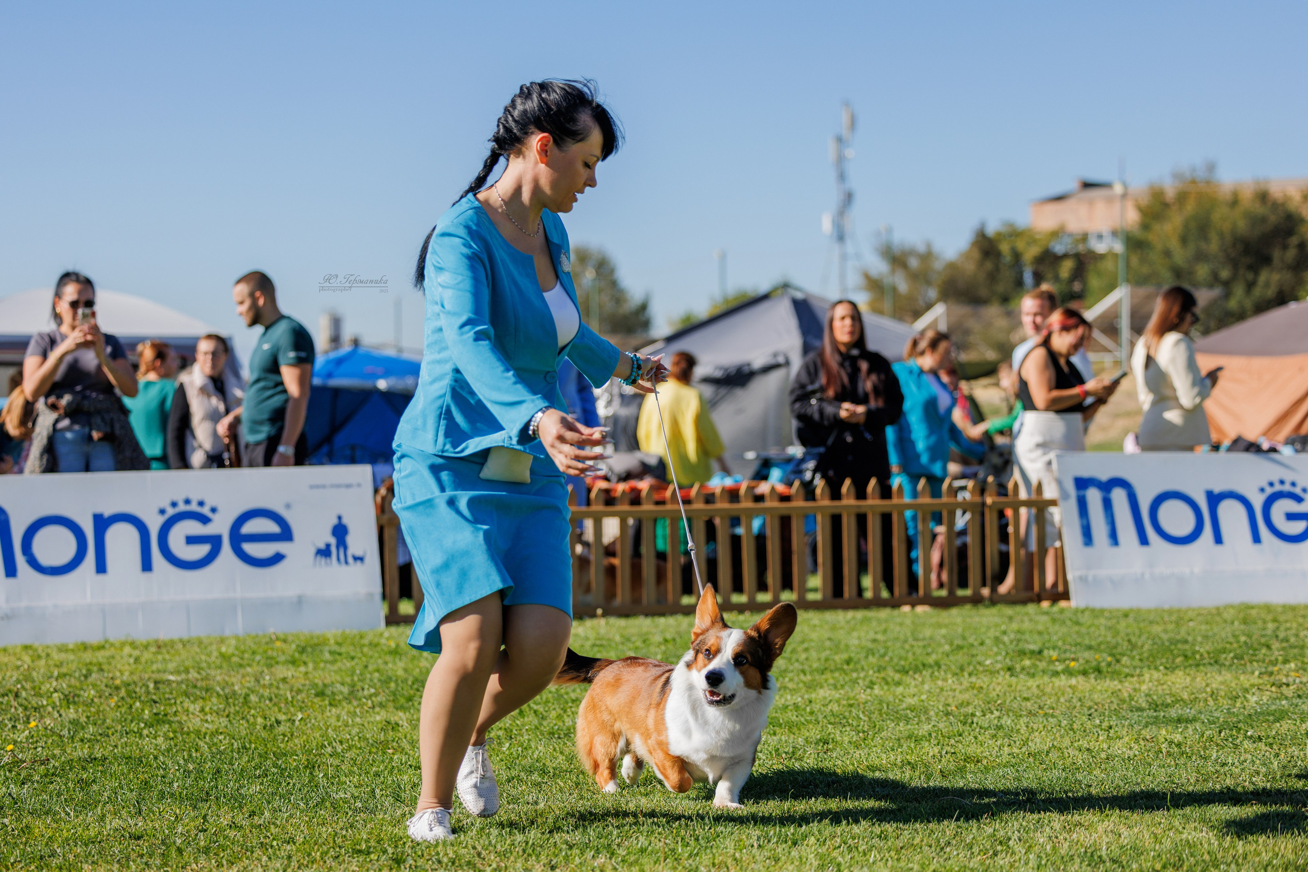 Ереван 14-16.10.2025. Фотограф-анималист Юлия Германика