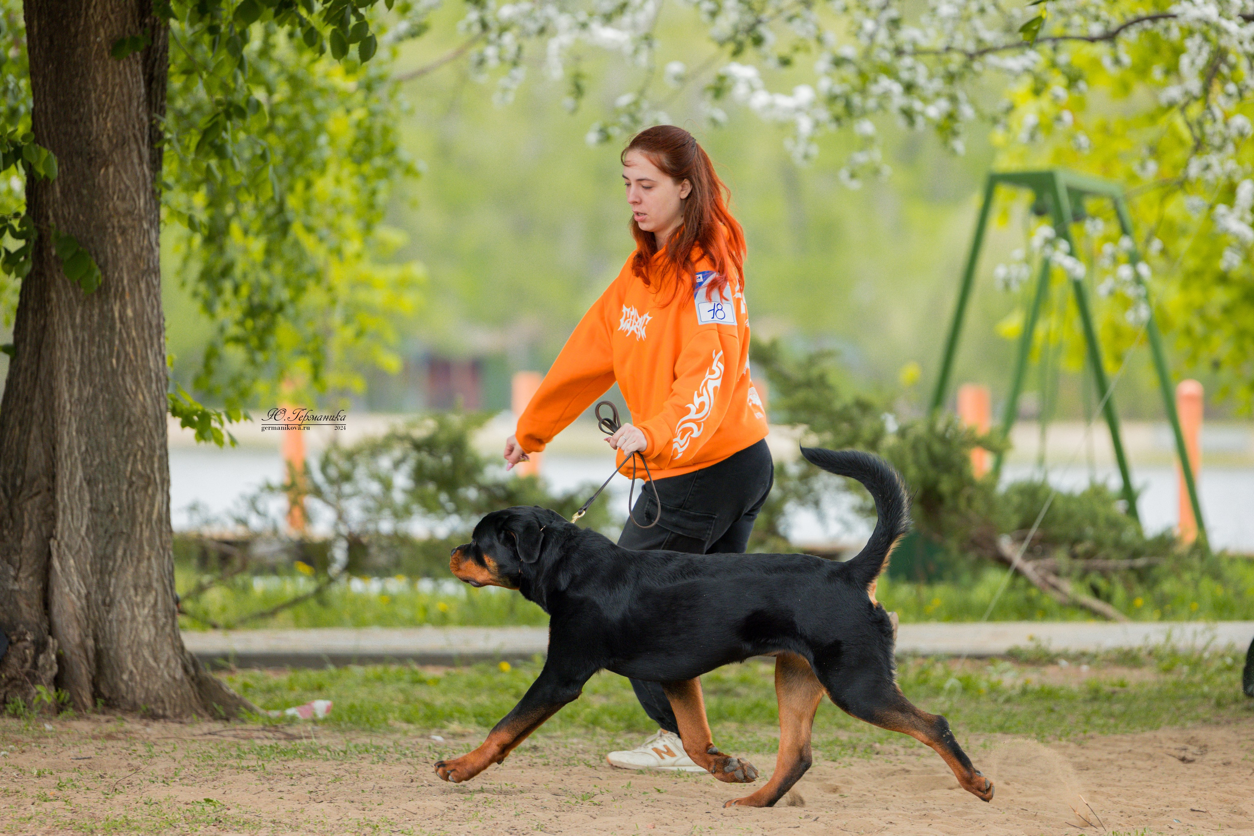 Саратов 2 х моно ротвейлеров 28-29.04.2024. Фотограф-анималист Юлия Германика