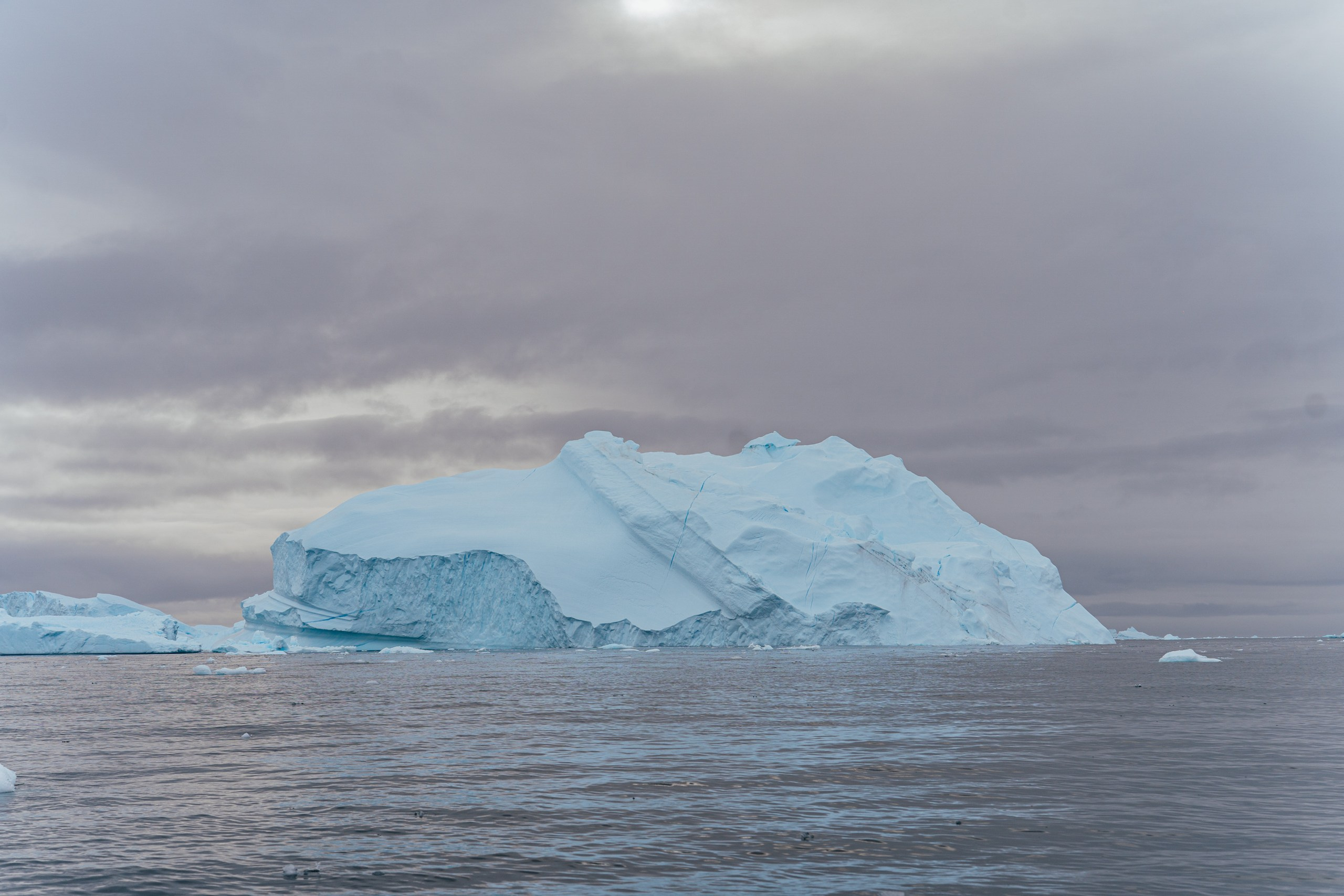 Природа. Медийный светский репортажный фотограф