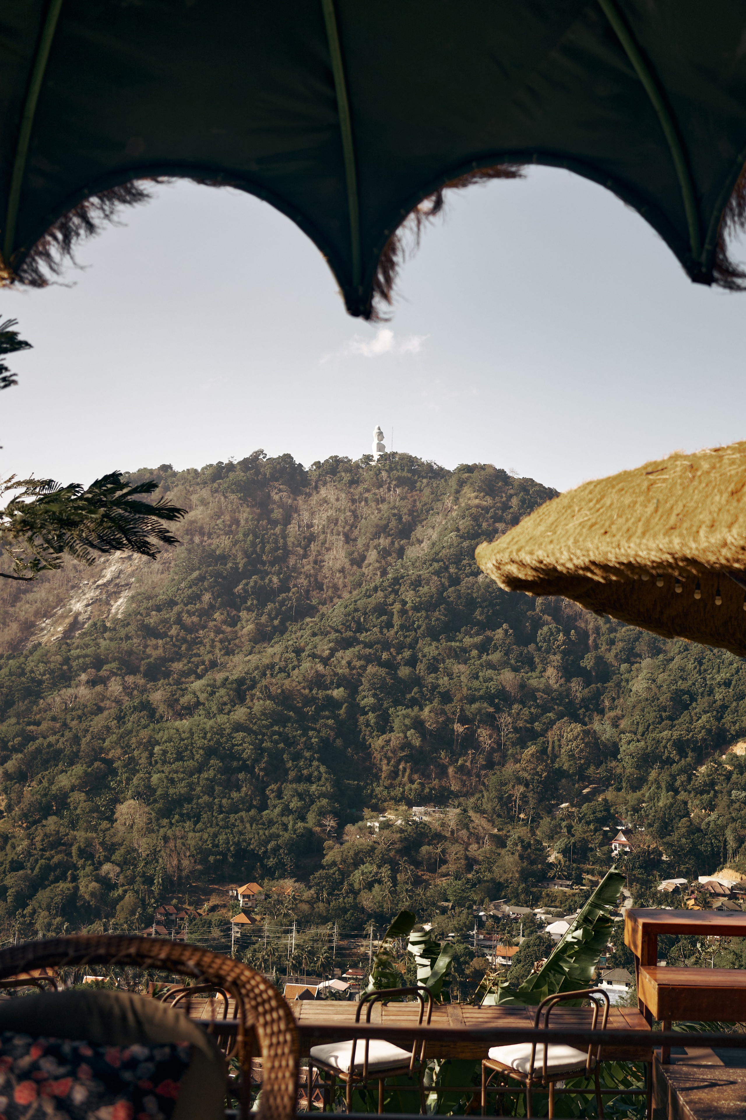 Jungle Farm. Mayskaya photography