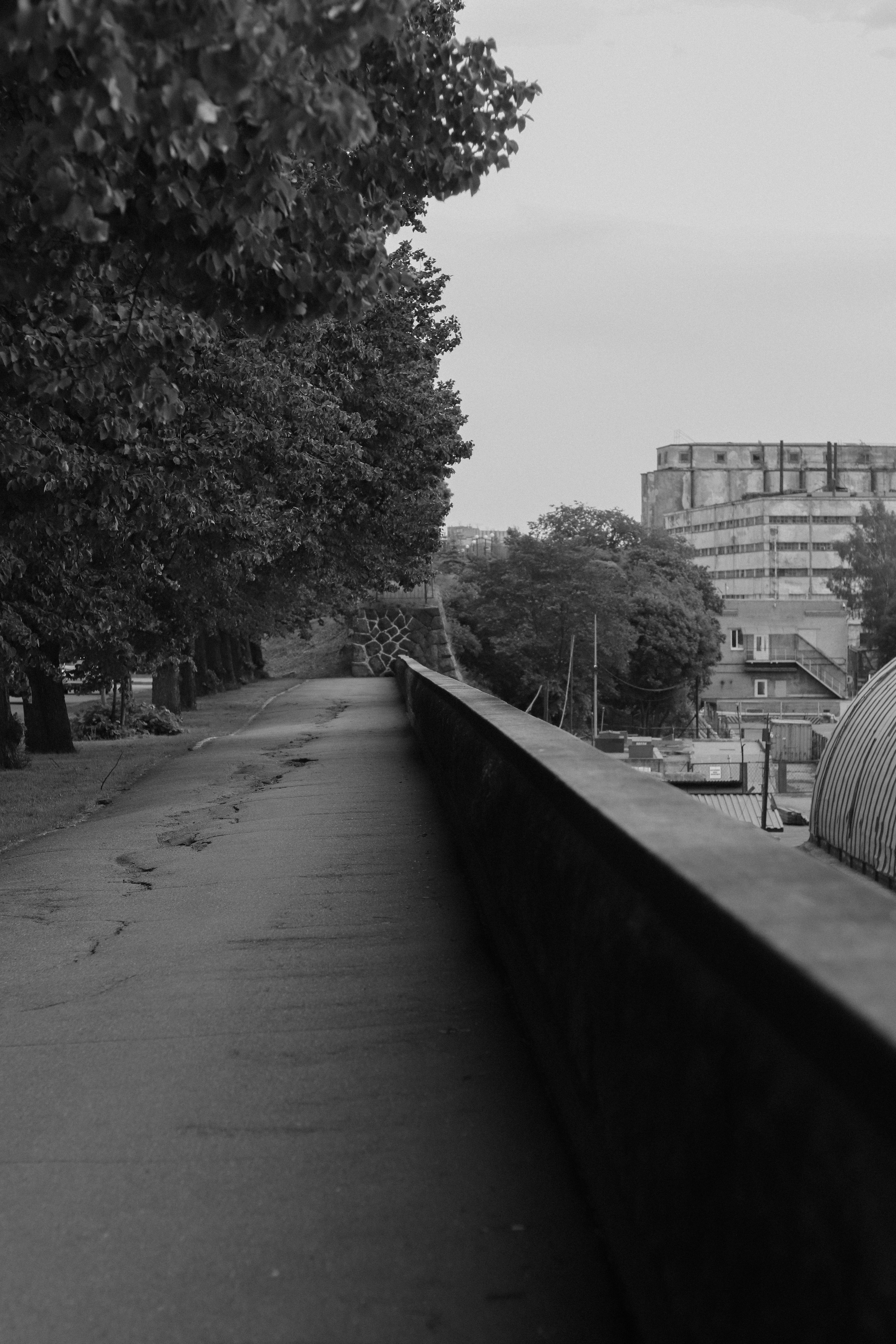 Contour. Фотограф и исследователь фотографии из Санкт-Петербурга Елизавета Веприцкая