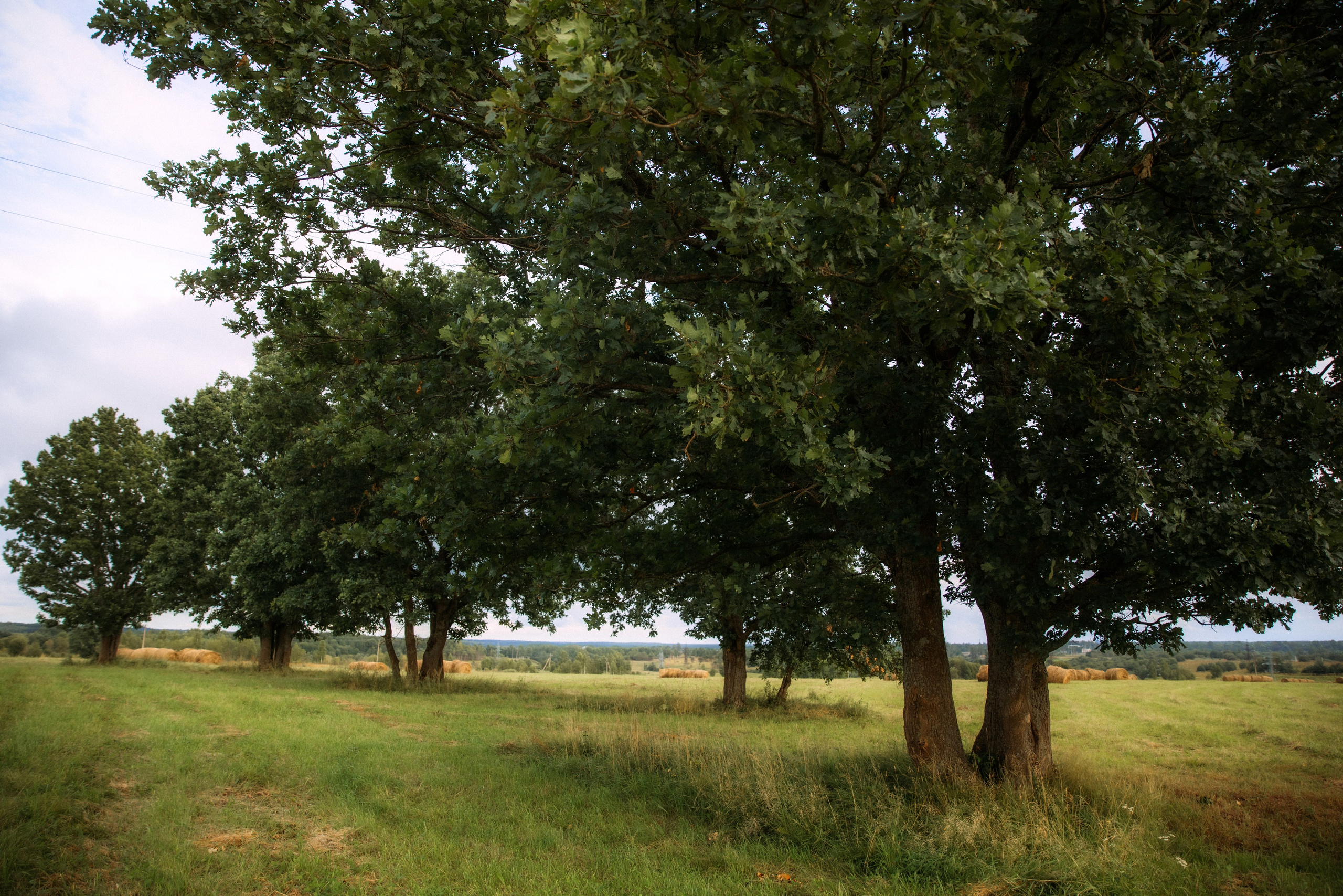 АДЕЛИНА И РОСТИСЛАВ. Женский и семейный фотограф Елена Петрова