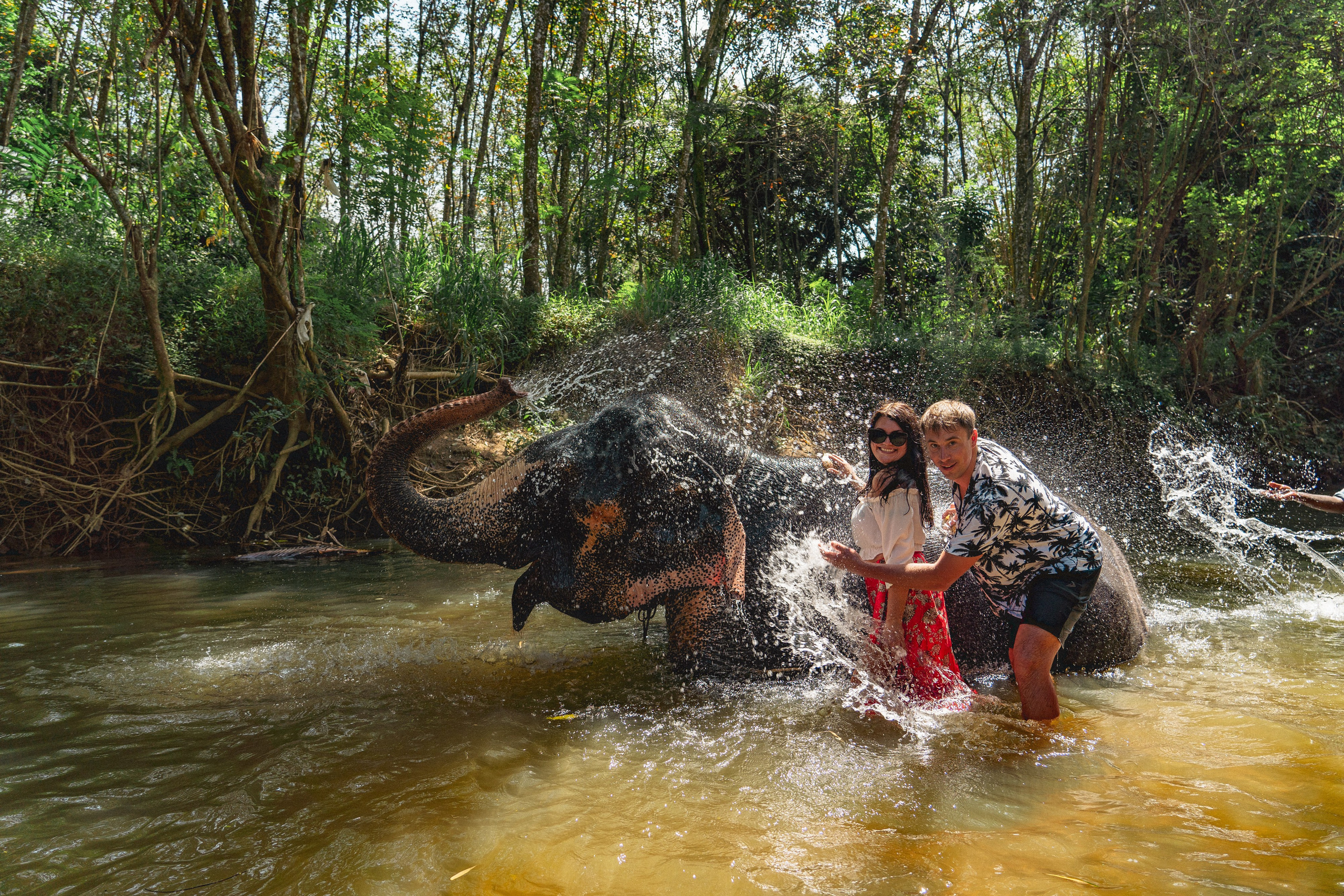 Bathing with elephants in Pinnawala, Botanical Garden