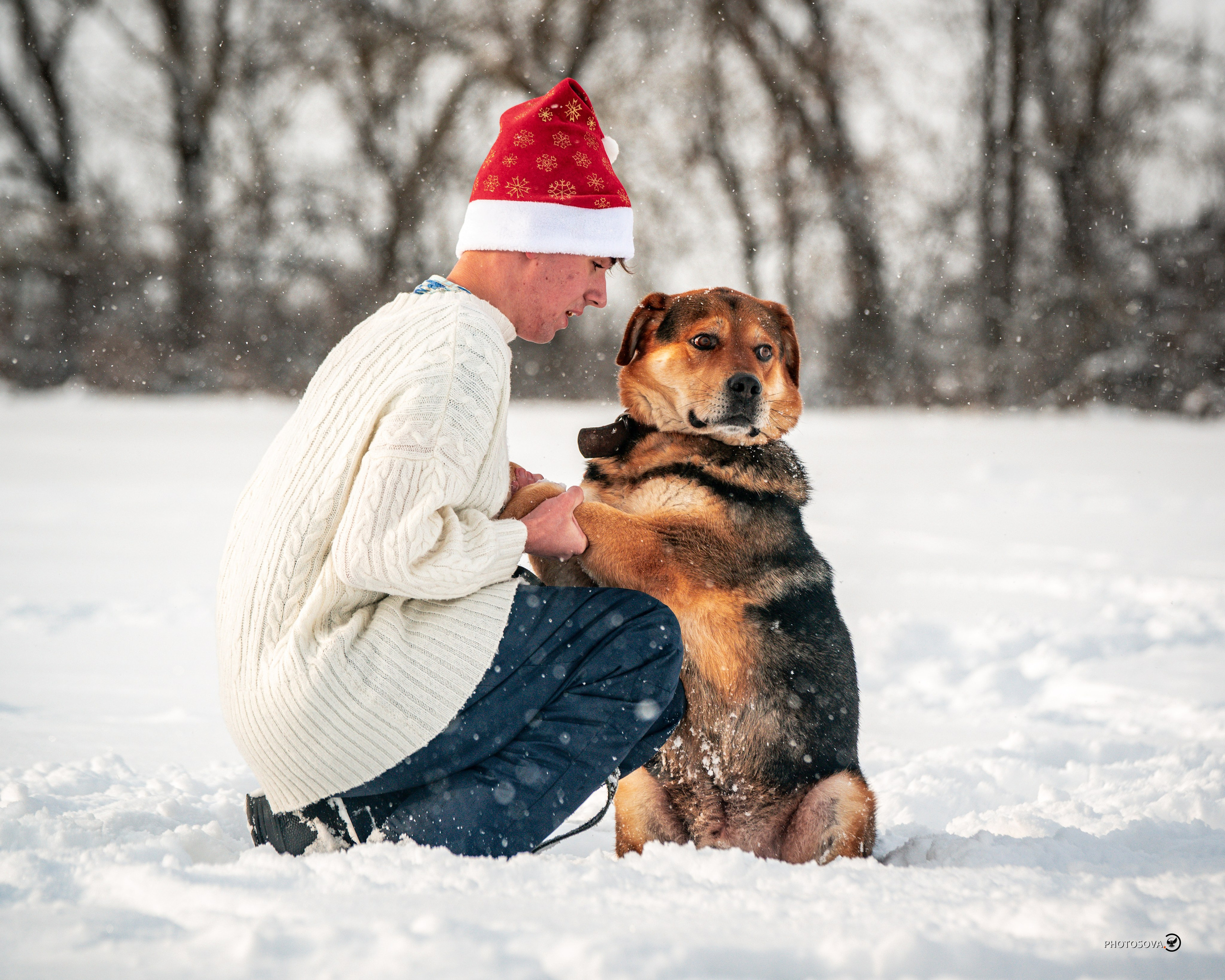ФОТОПАМЯТЬ ВАШИХ ЭМОЦИЙ. Фотограф-анималист, семейный фотограф в Москве и Подмосковье. Фотосъёмка кинологических дисциплин