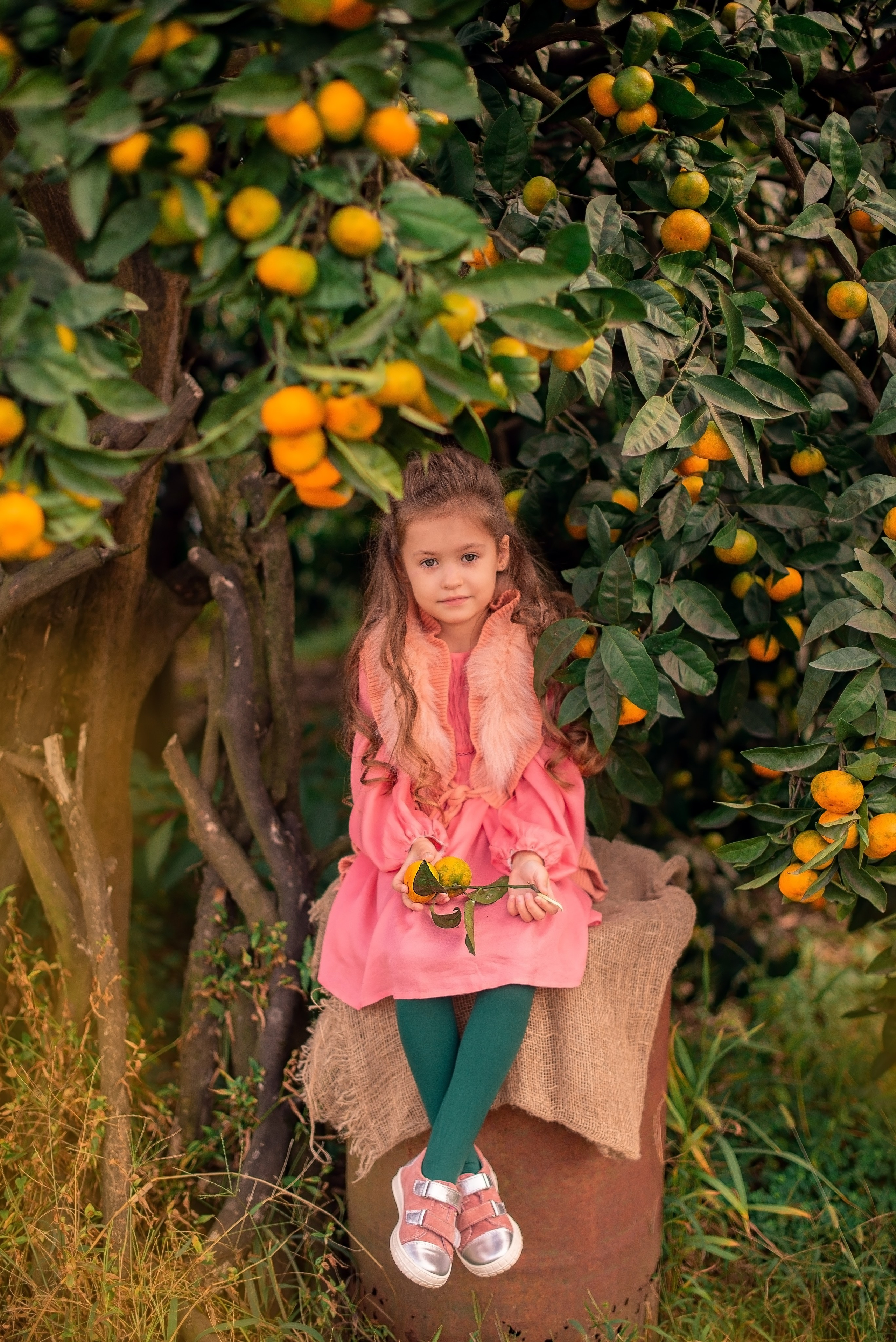 Мандарины. Детский и семейный фотограф в Абхазии