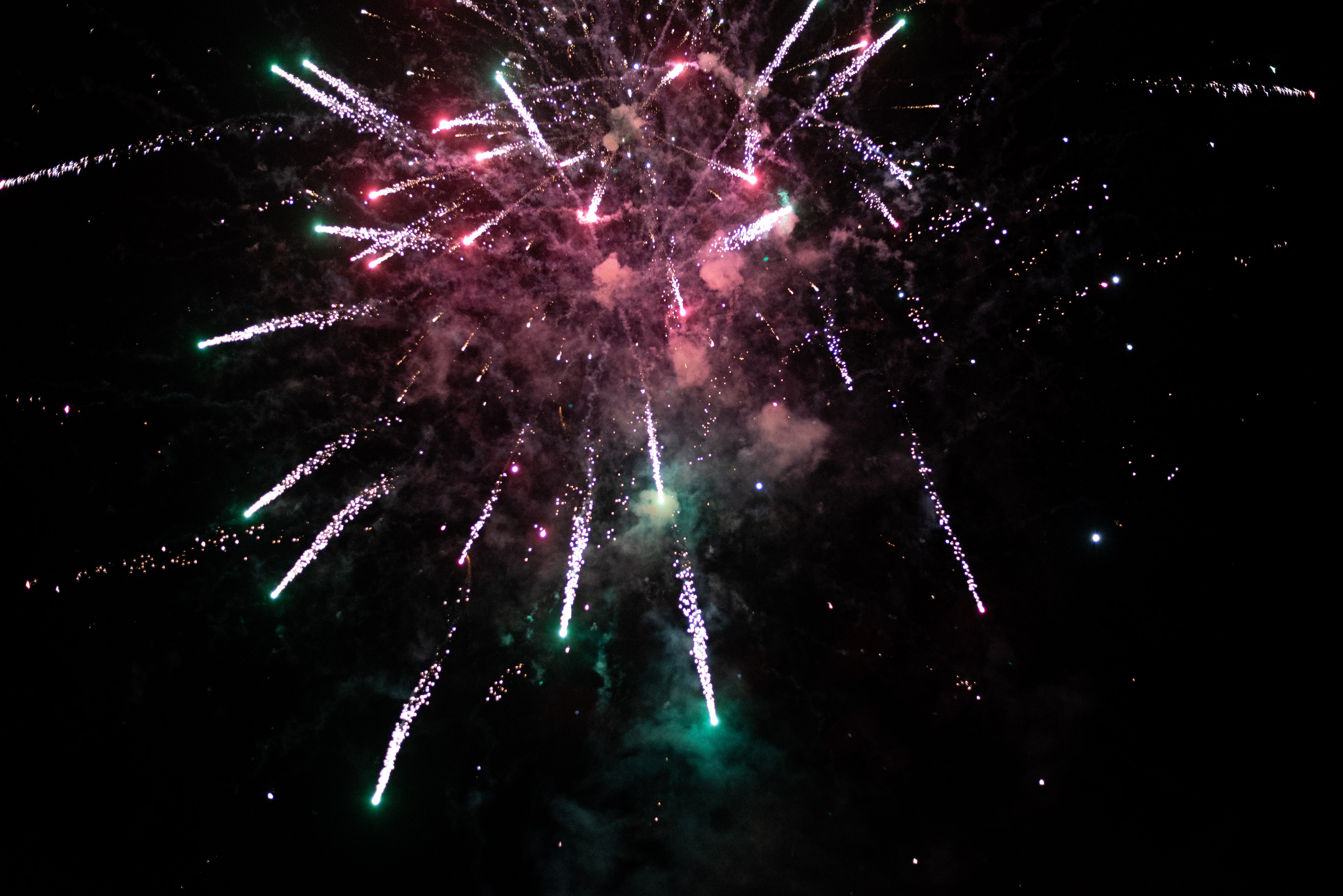 Анастасия и Роман. Семейный и детский фотограф в Воронеже София Минакова
