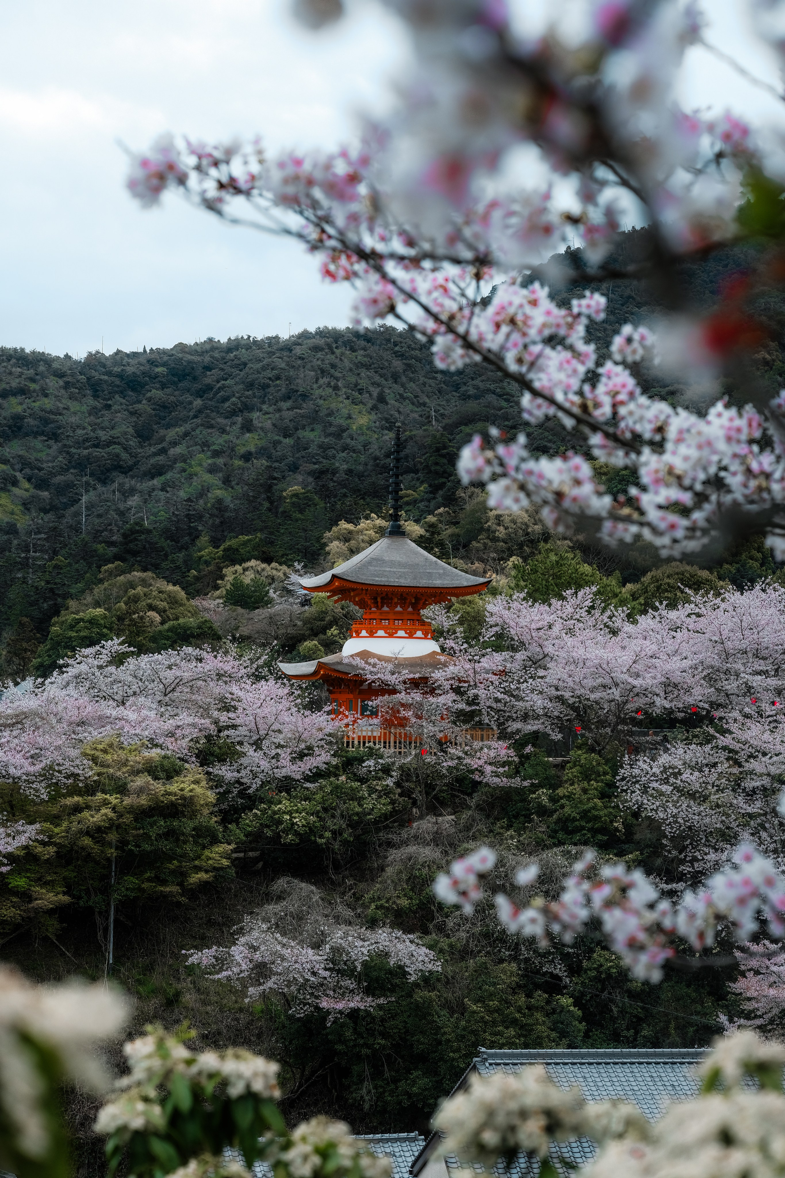 Nippon. Главная