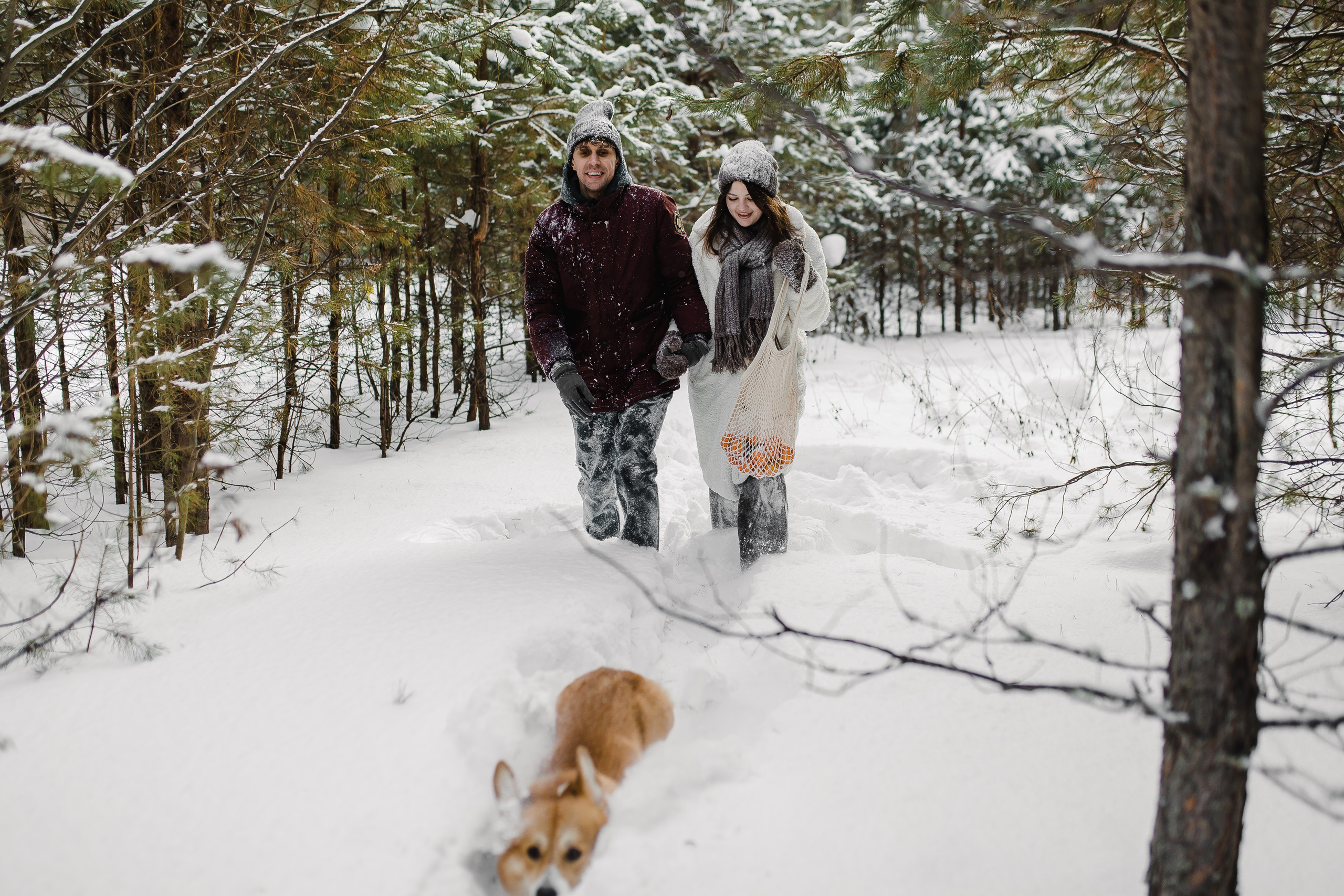 Дима и Даша. Свадебный и семейный фотограф в Томске Алексей