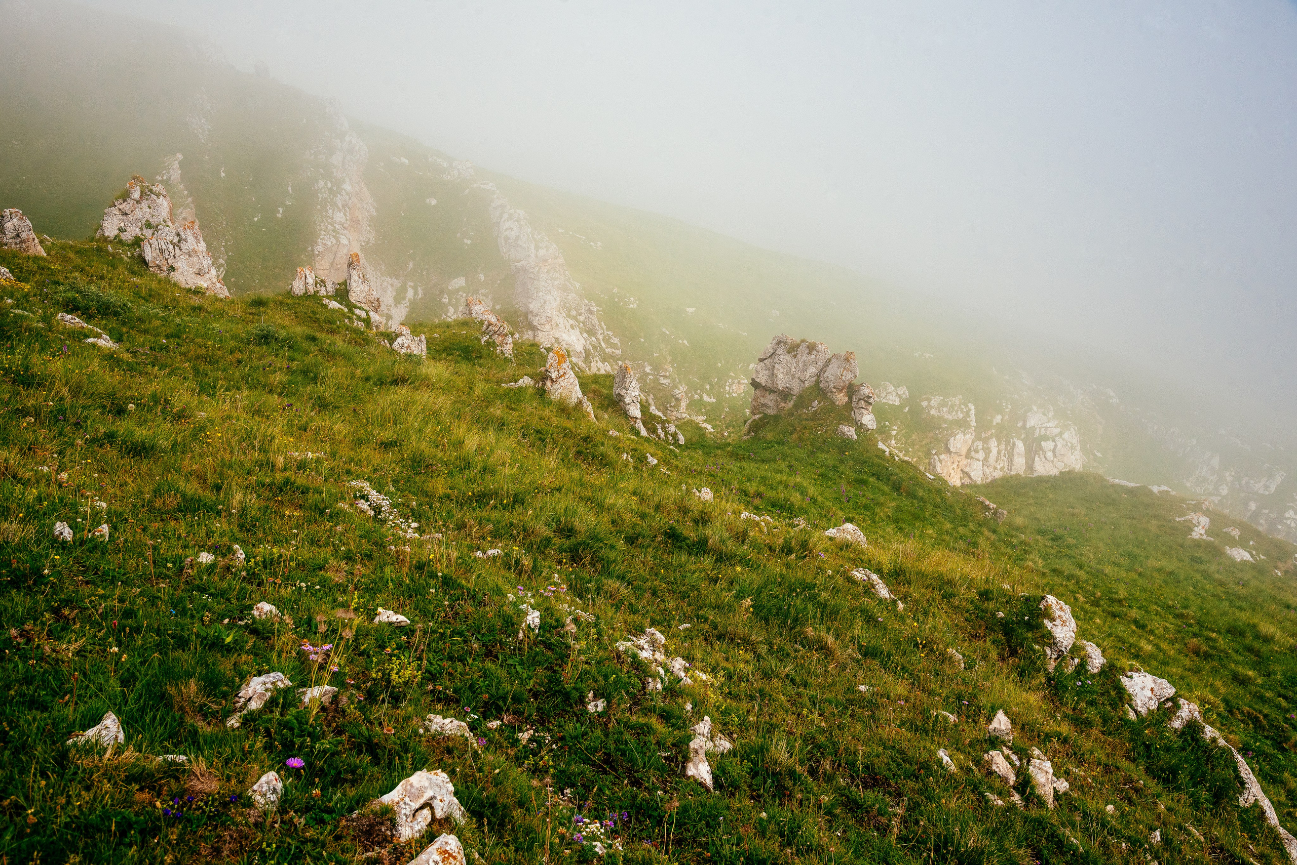 Ингушетия. Гора Маьт-Лоам, 2020. Фотограф Марк Арсаков