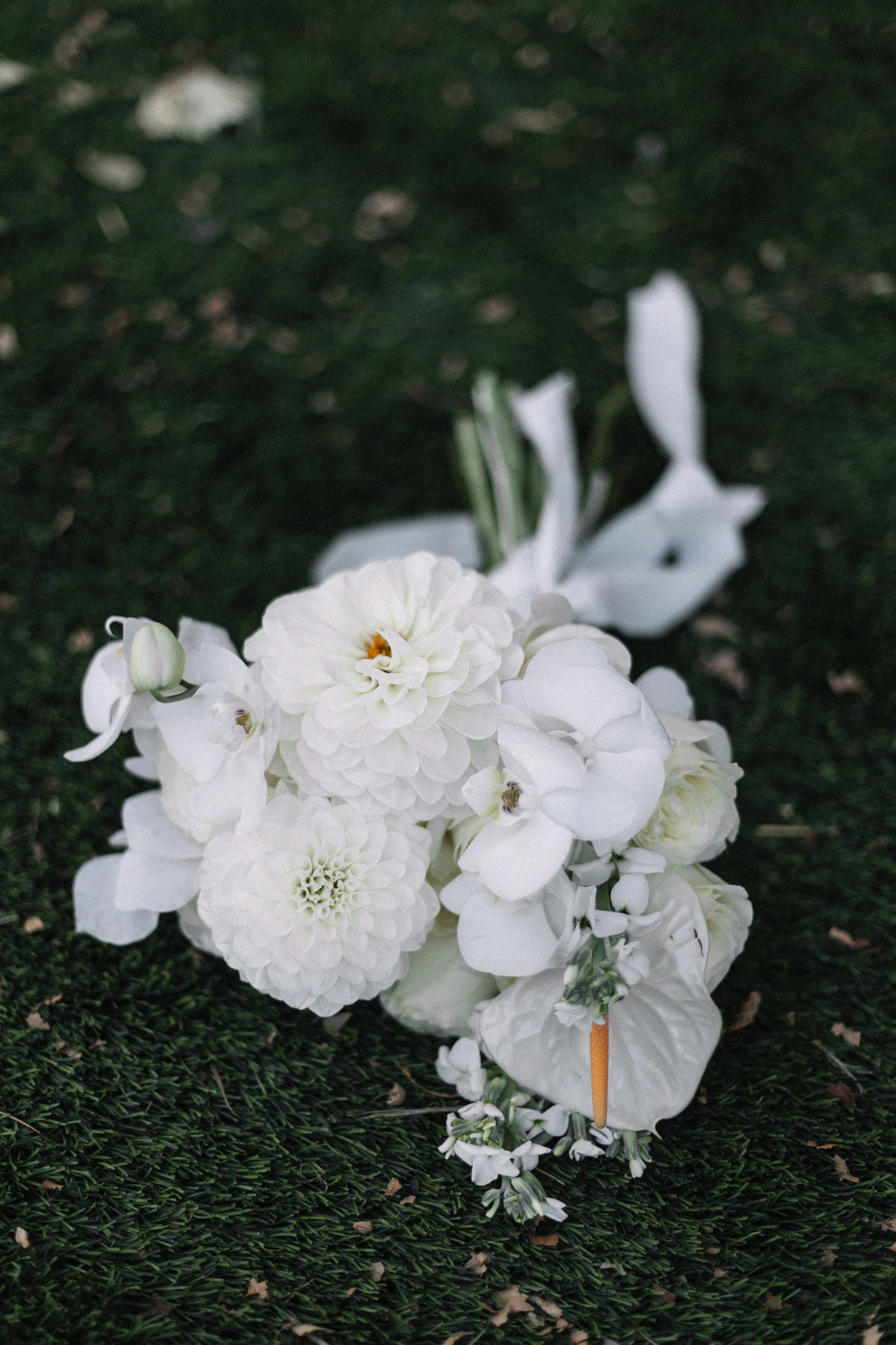 Николай и Татьяна. Свадебный и семейный фотограф в Краснодаре/Геленджике/Сочи/Санкт-Петербурге