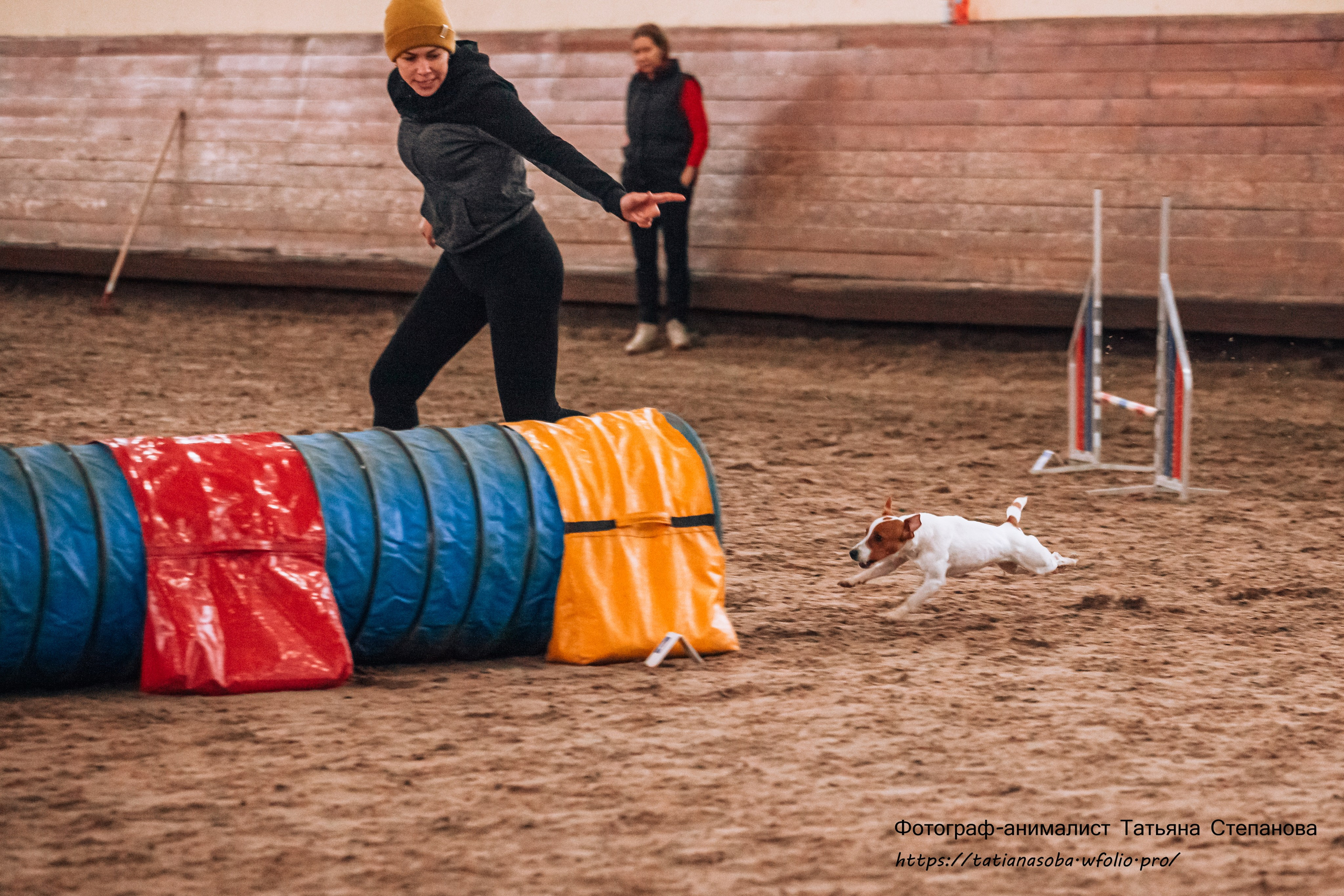 Соревнования по Аджилити 25.02.2024. Фотограф-анималист Татьяна Степанова
