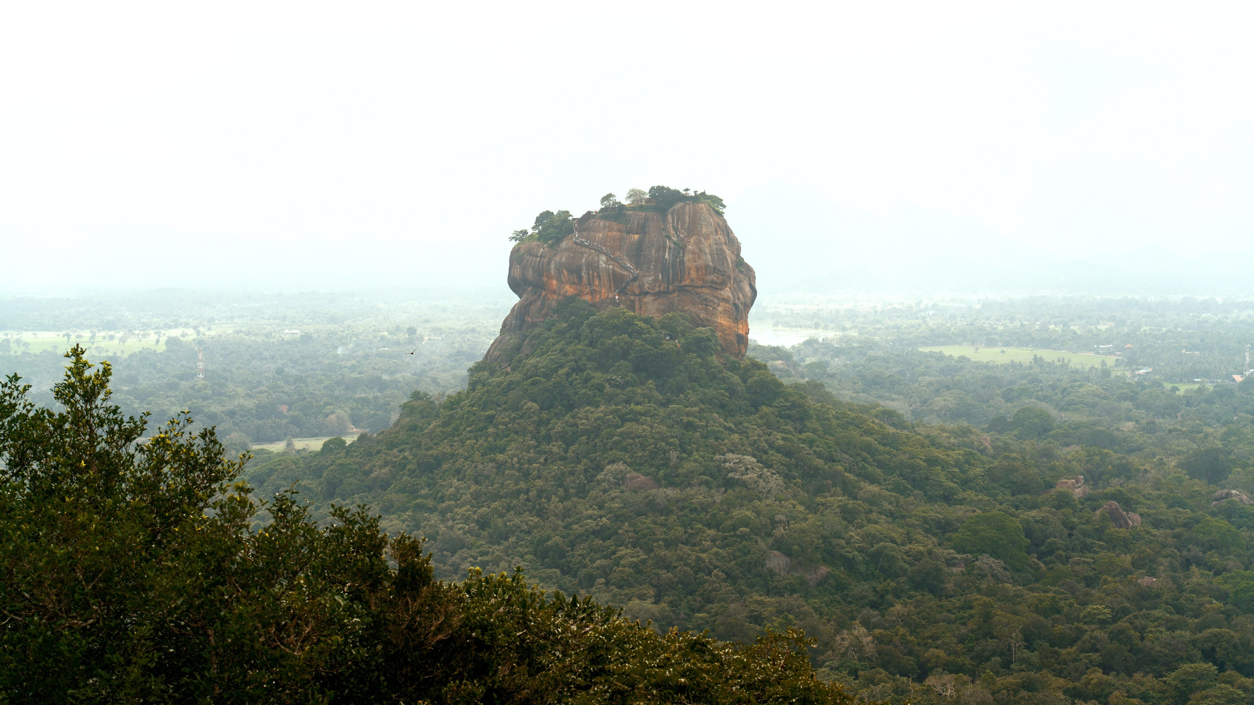 Ktokuda. Фотограф в Хабаровске. Фотография за 24 часа