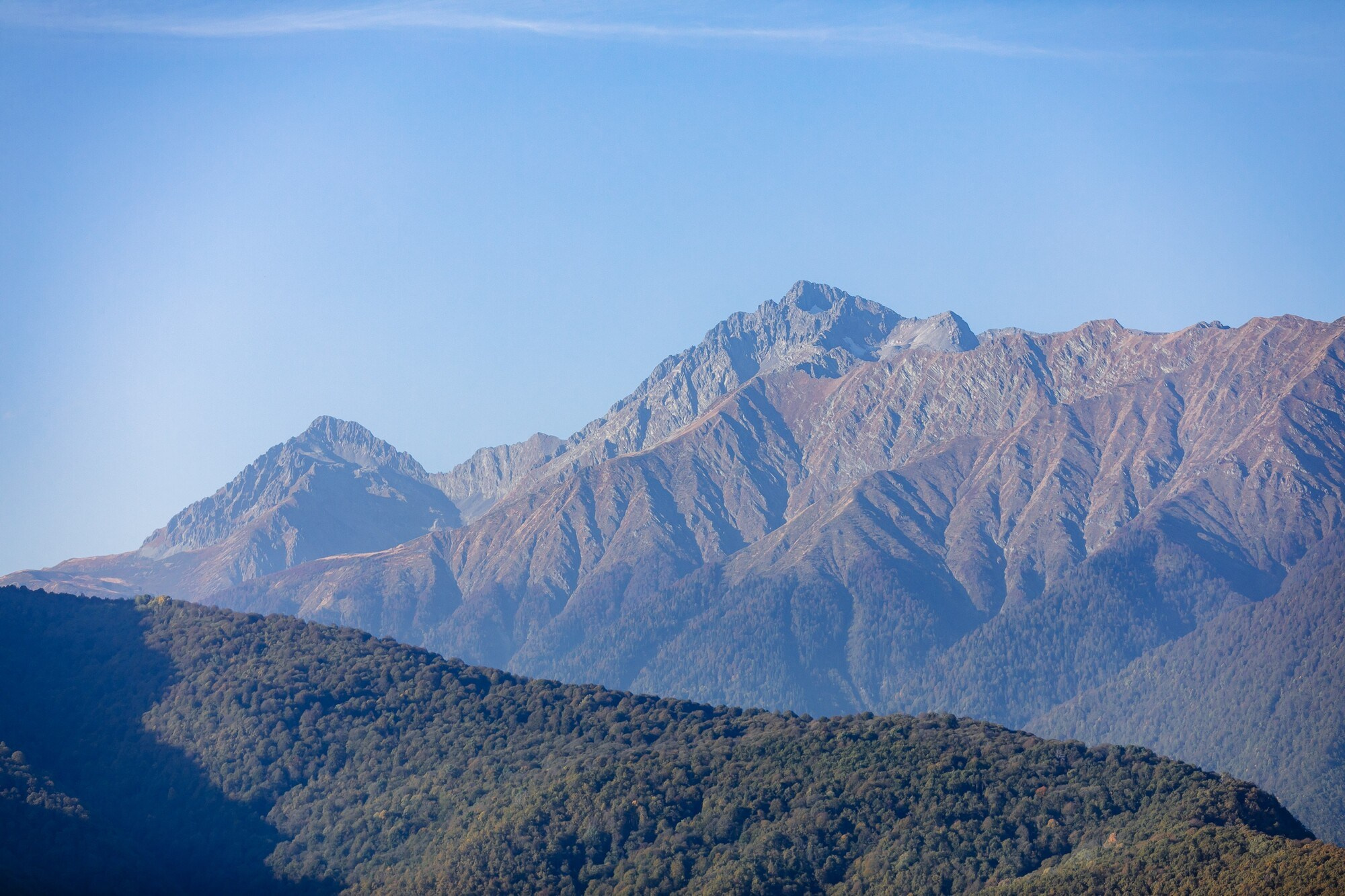ПРАВА ПОТРЕБИТЕЛЕЙ И КАЧЕСТВО ОБСЛУЖИВАНИЯ 2020. Фотограф в Сочи, Репортажный фотограф Виктор Кочков-Филатов