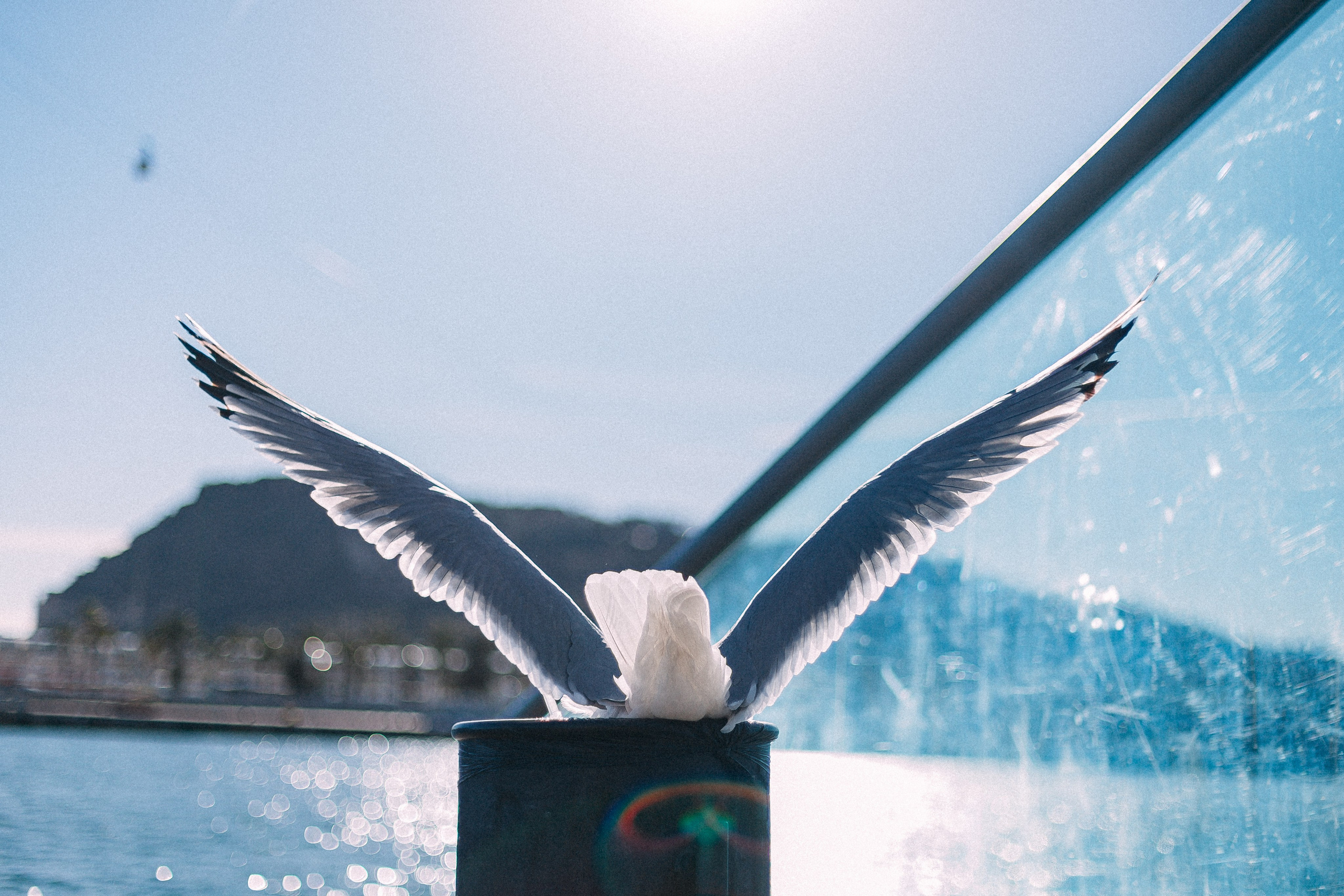 Барселона. Аня Степанова