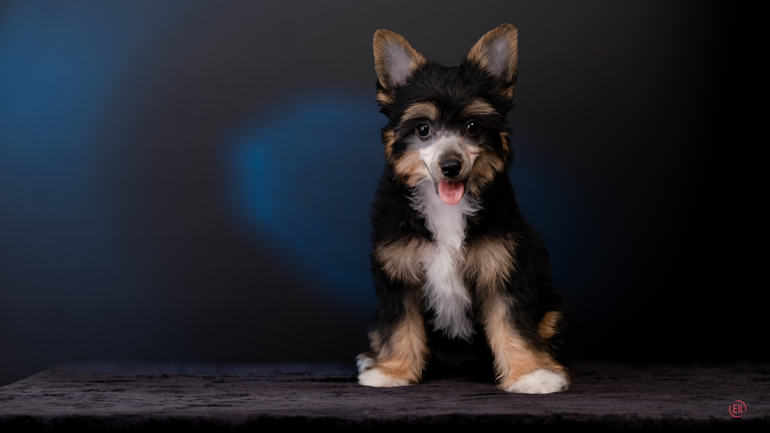 07.06.2025 Синяя фотосессия. Фотограф в Москве