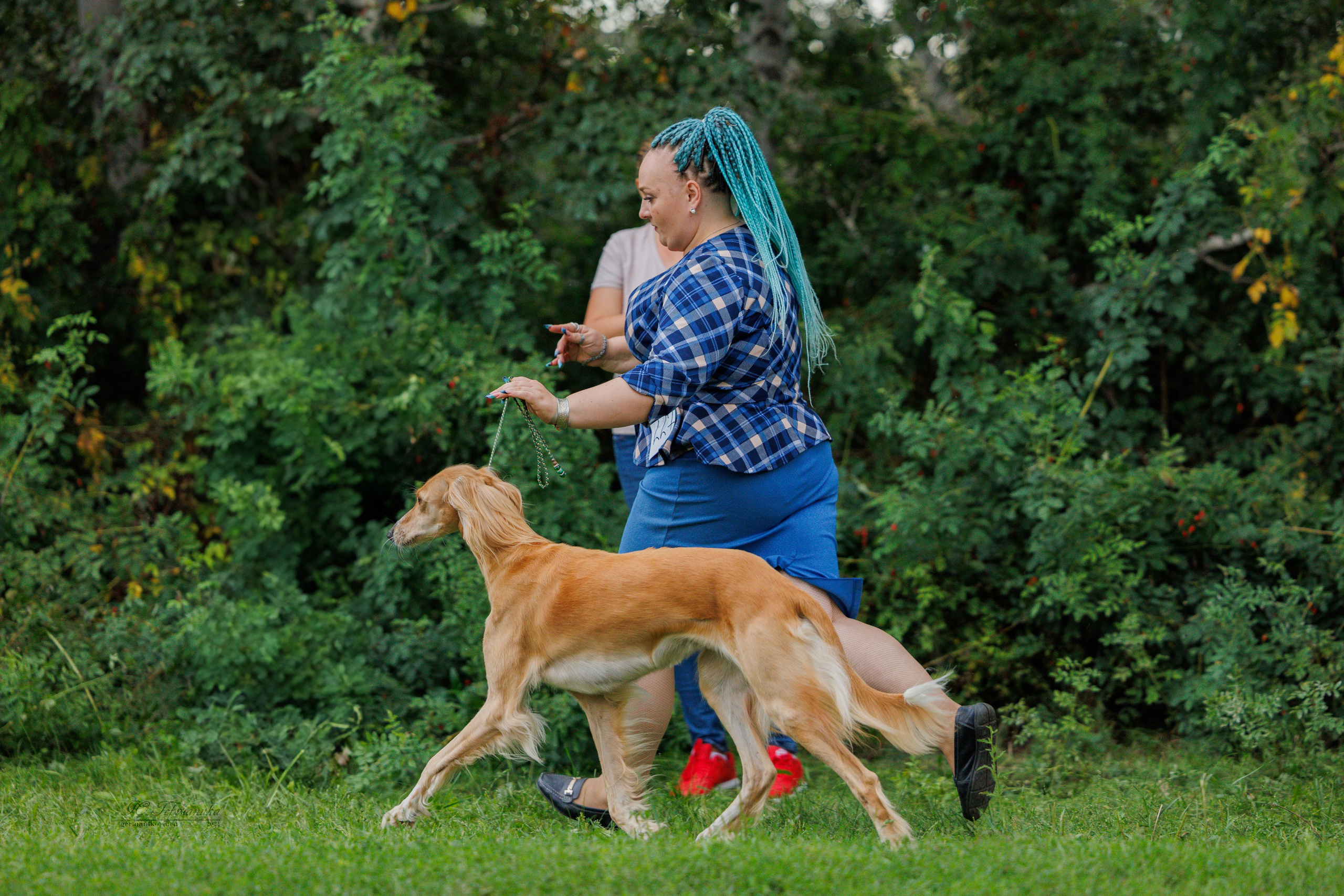 Астана 2хCACIB 17-18.08.2024. Фотограф-анималист Юлия Германика