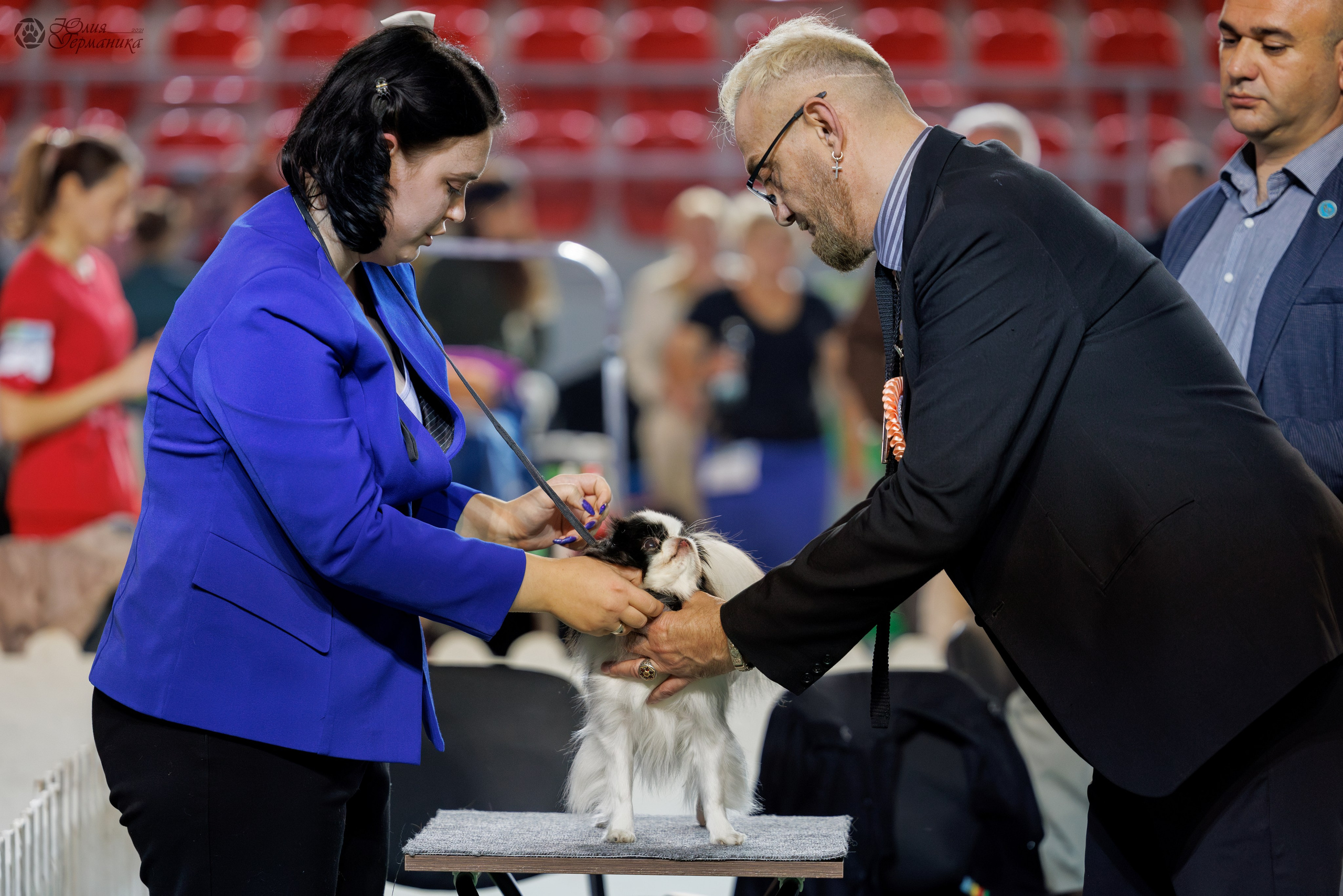 Грузия,Телави 2хCACIB 19-20.10.2024. Фотограф-анималист Юлия Германика