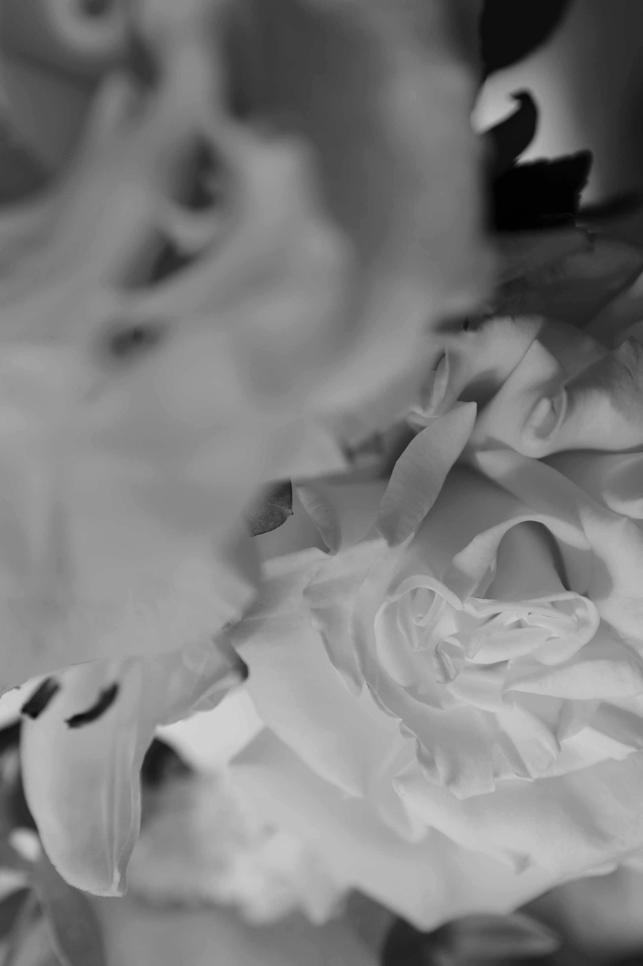 Iskrennost’. Фотограф в Воронеже и Санкт-Петербурге Карина Арутюнян