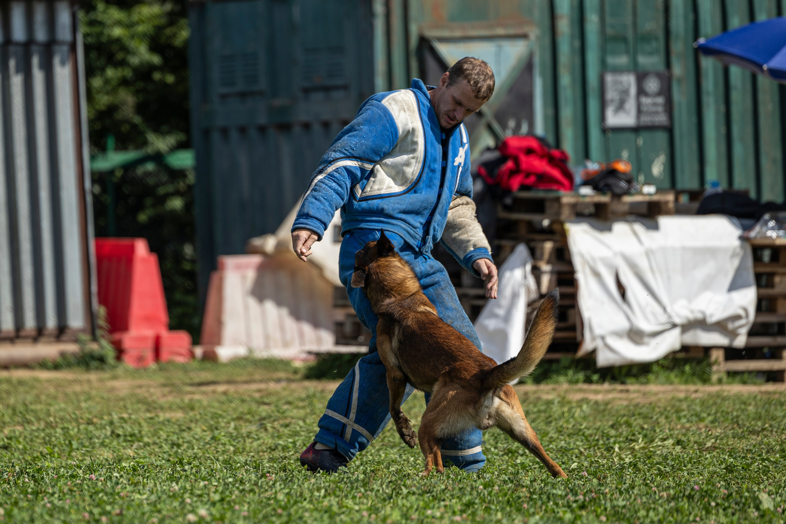 Соревнования по Мондьорингу г. Вологда 10-11.08.2024. Фотограф-анималист Анна Маринич