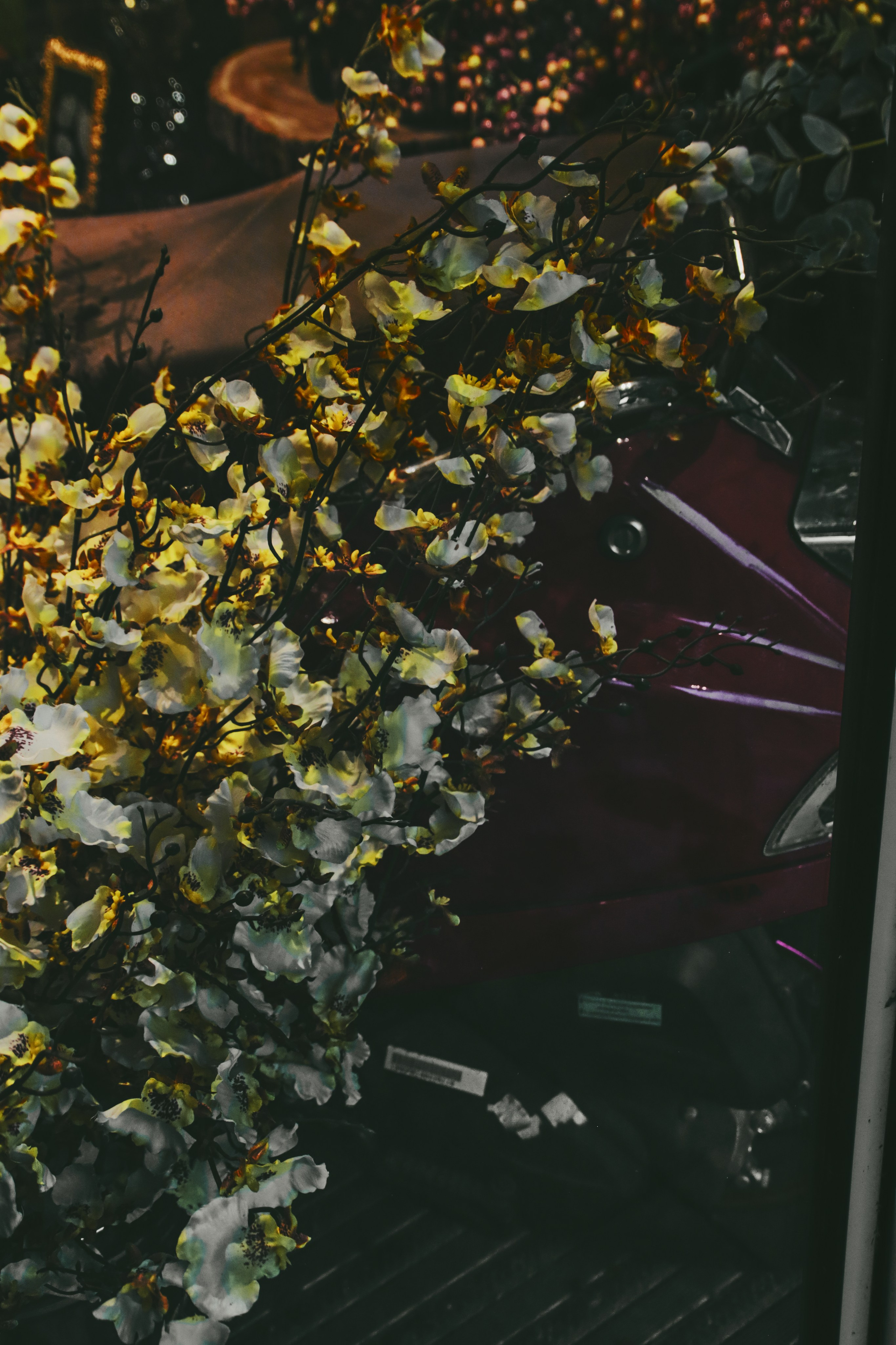 Москва. Фотограф Александр Рауш