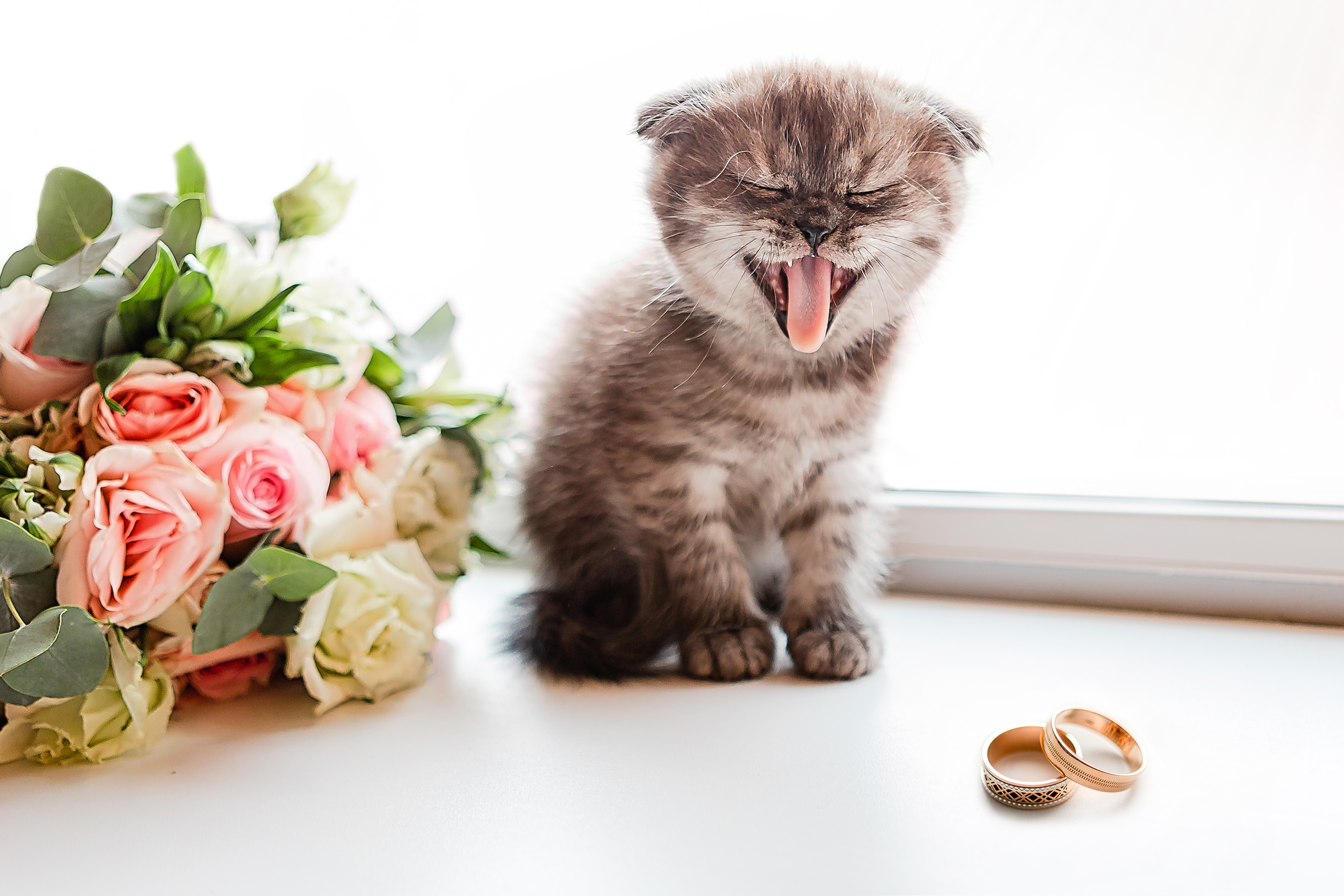Свадьба Кристины и Артема 1.08.2020 (анонс). Семейный и свадебный фотограф в Чебоксарах и Новочебоксарске Ирина Юрь