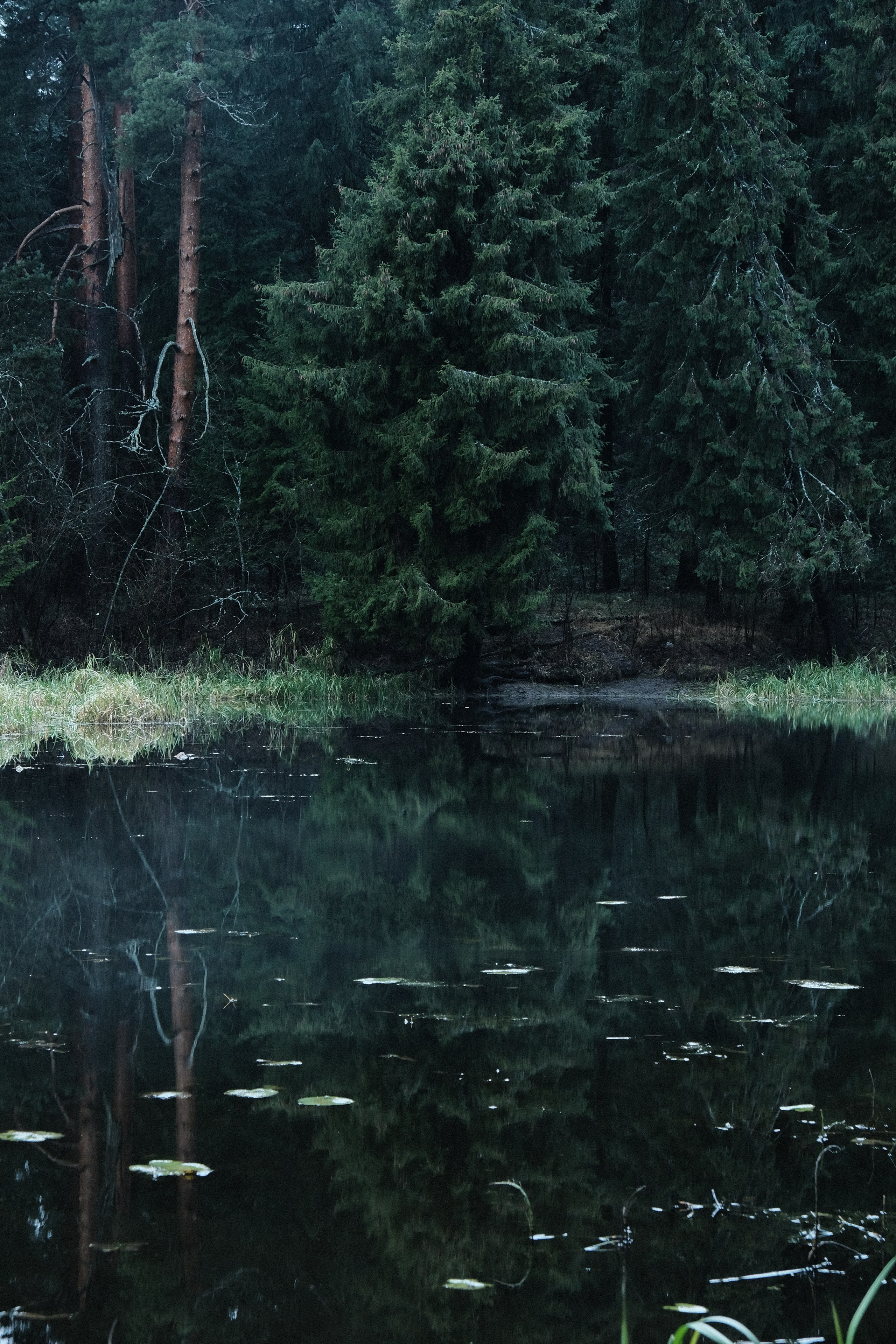 Пейзажи. Фотограф-любитель из Кирова Андрей Погребняк
