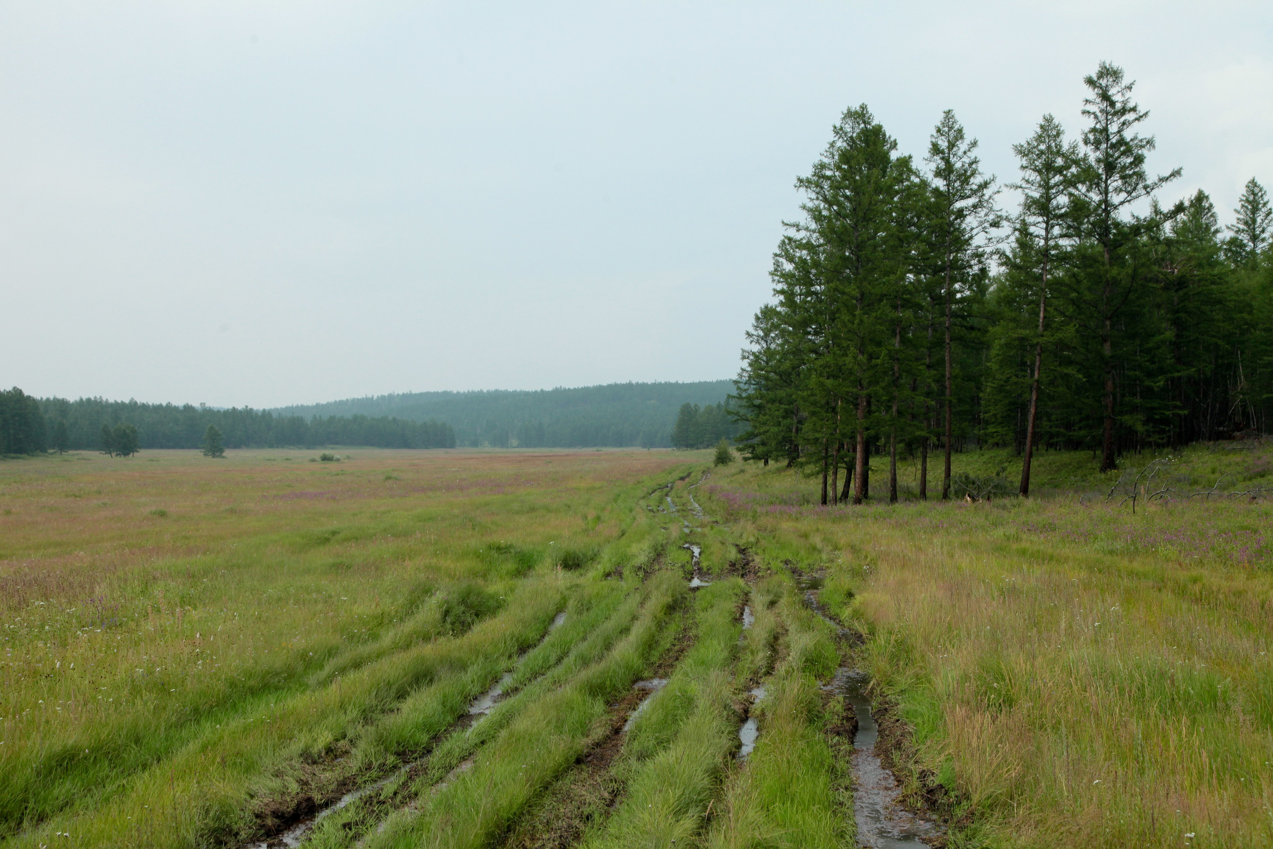 Фото Природы Забайкалья. Студия Максима Белослюдцева