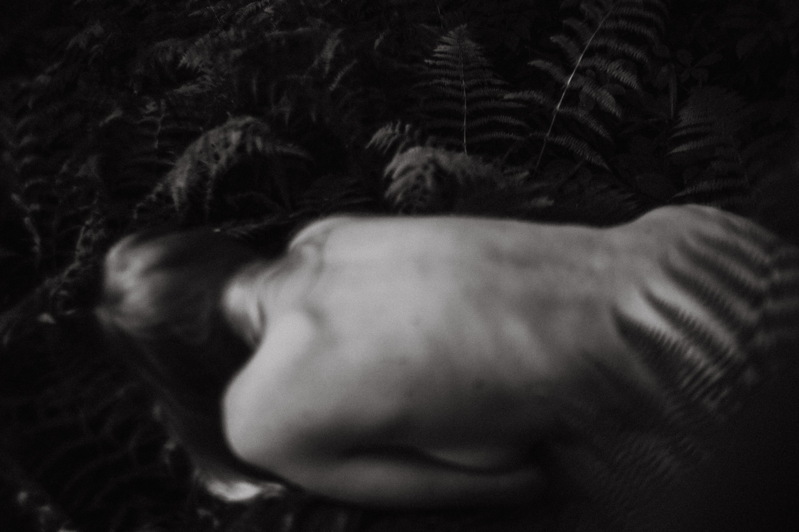 Ирина. Папоротник. Фотограф в Нижнем Новгороде