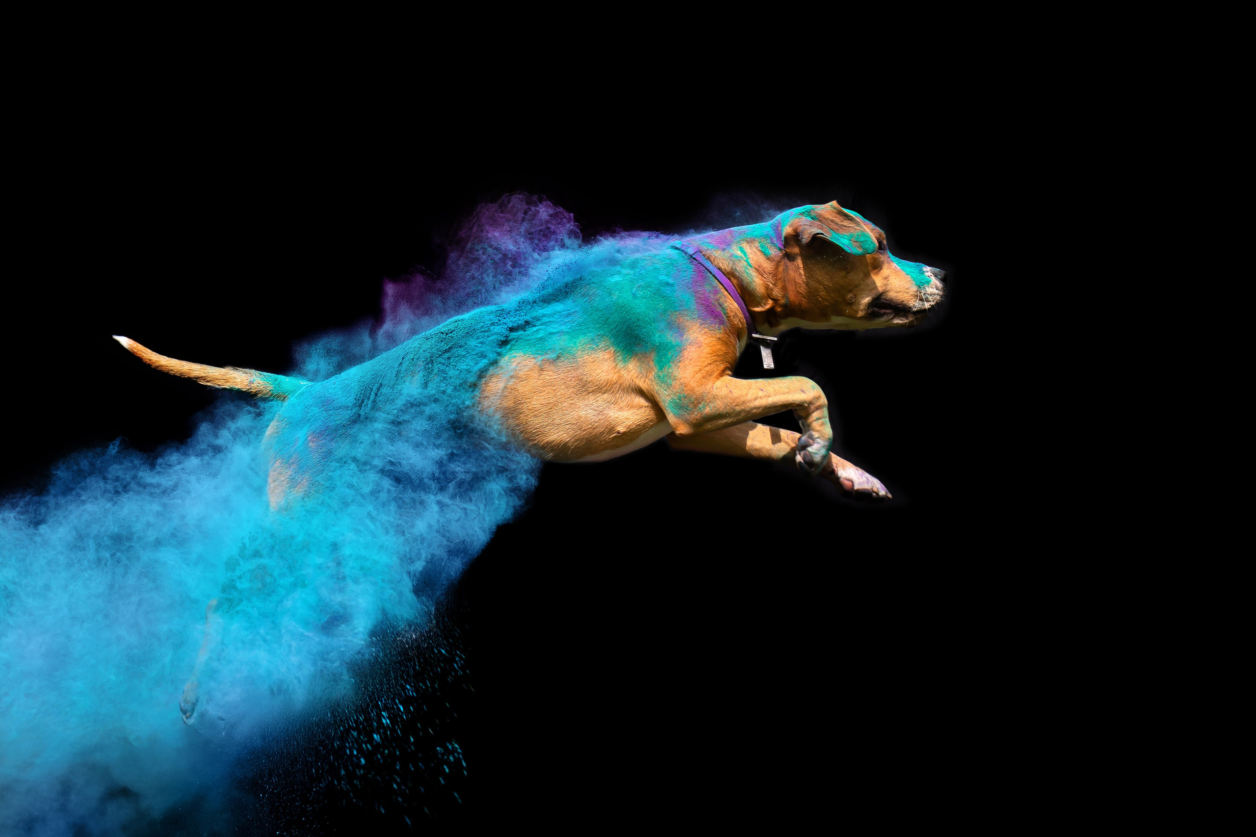 Батлер и Кэти