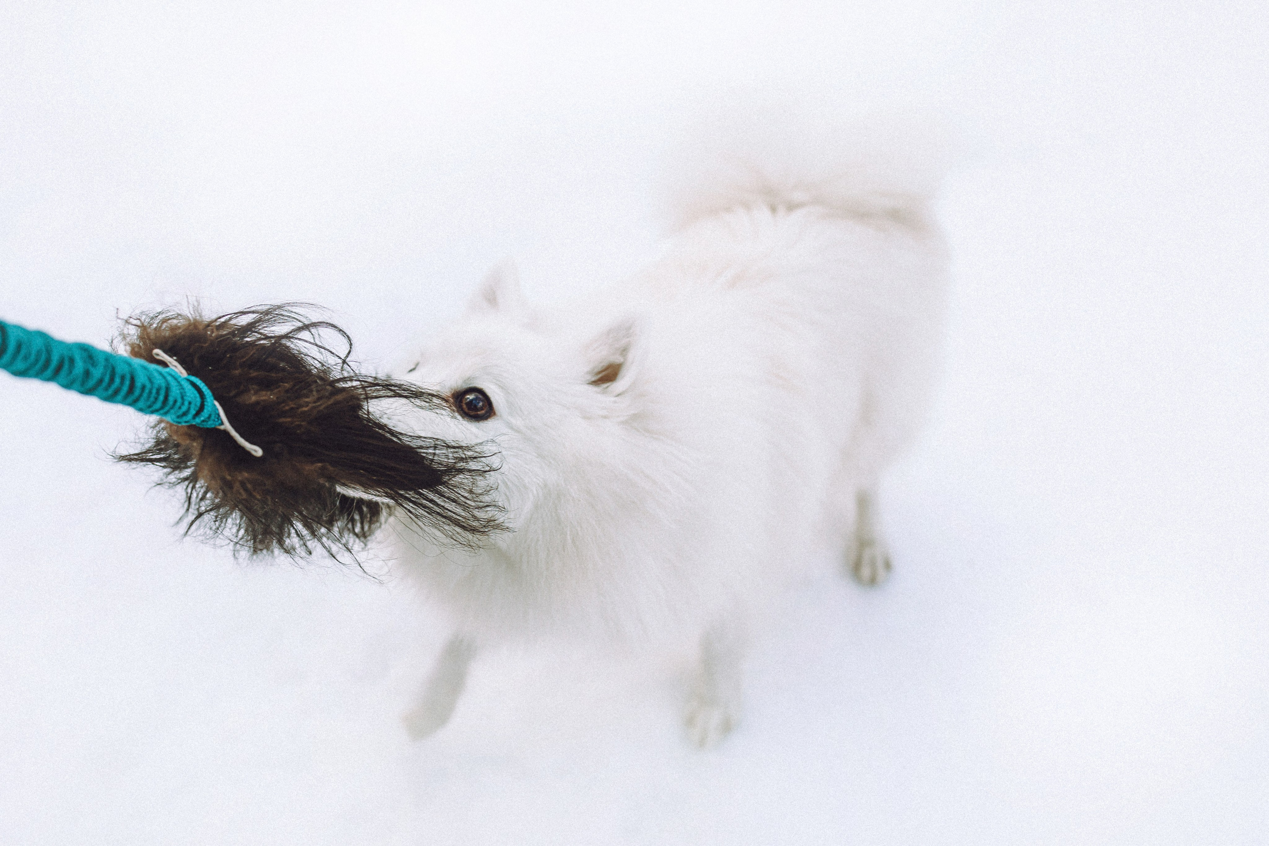 Шани и ее семья
