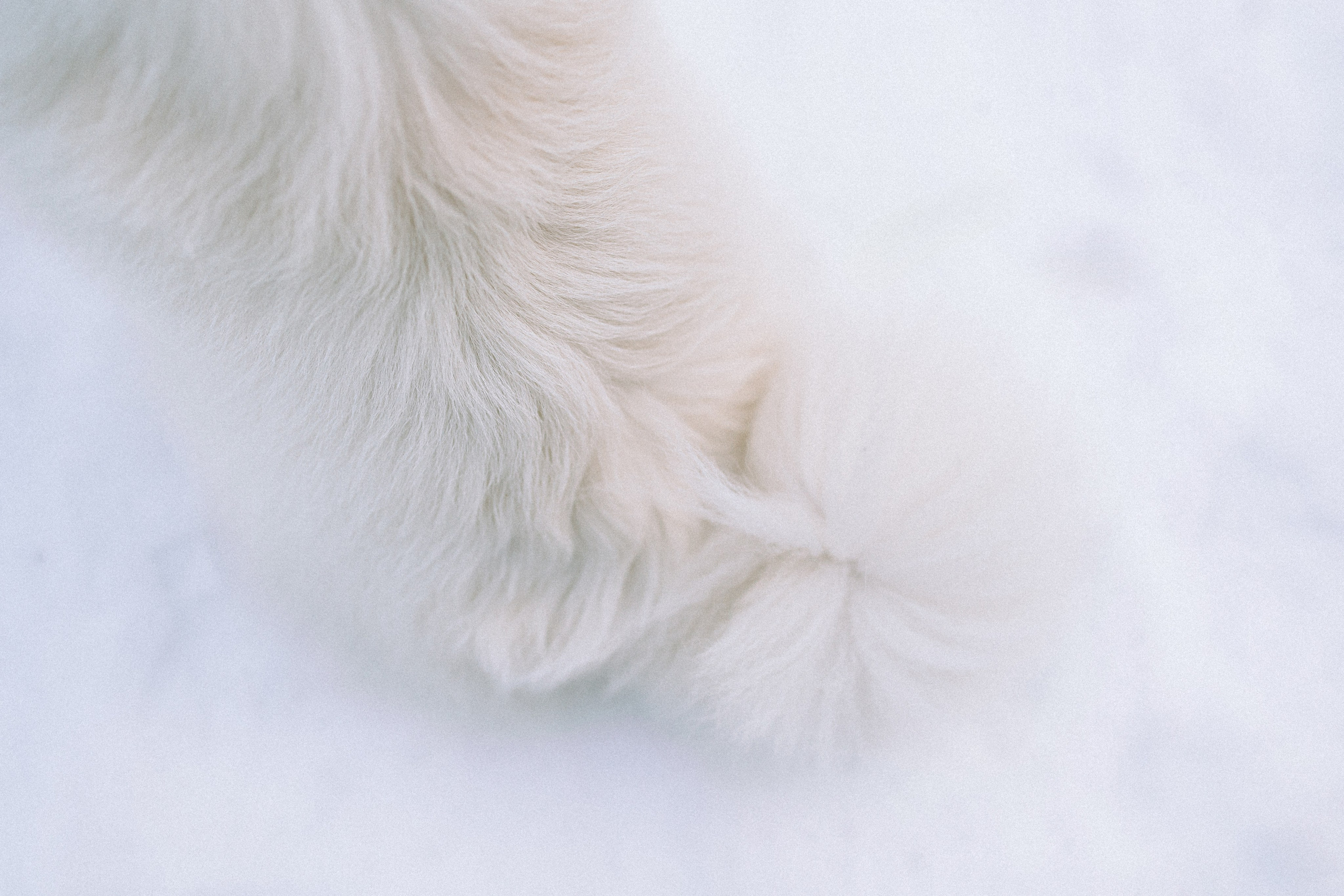 Шани и ее семья