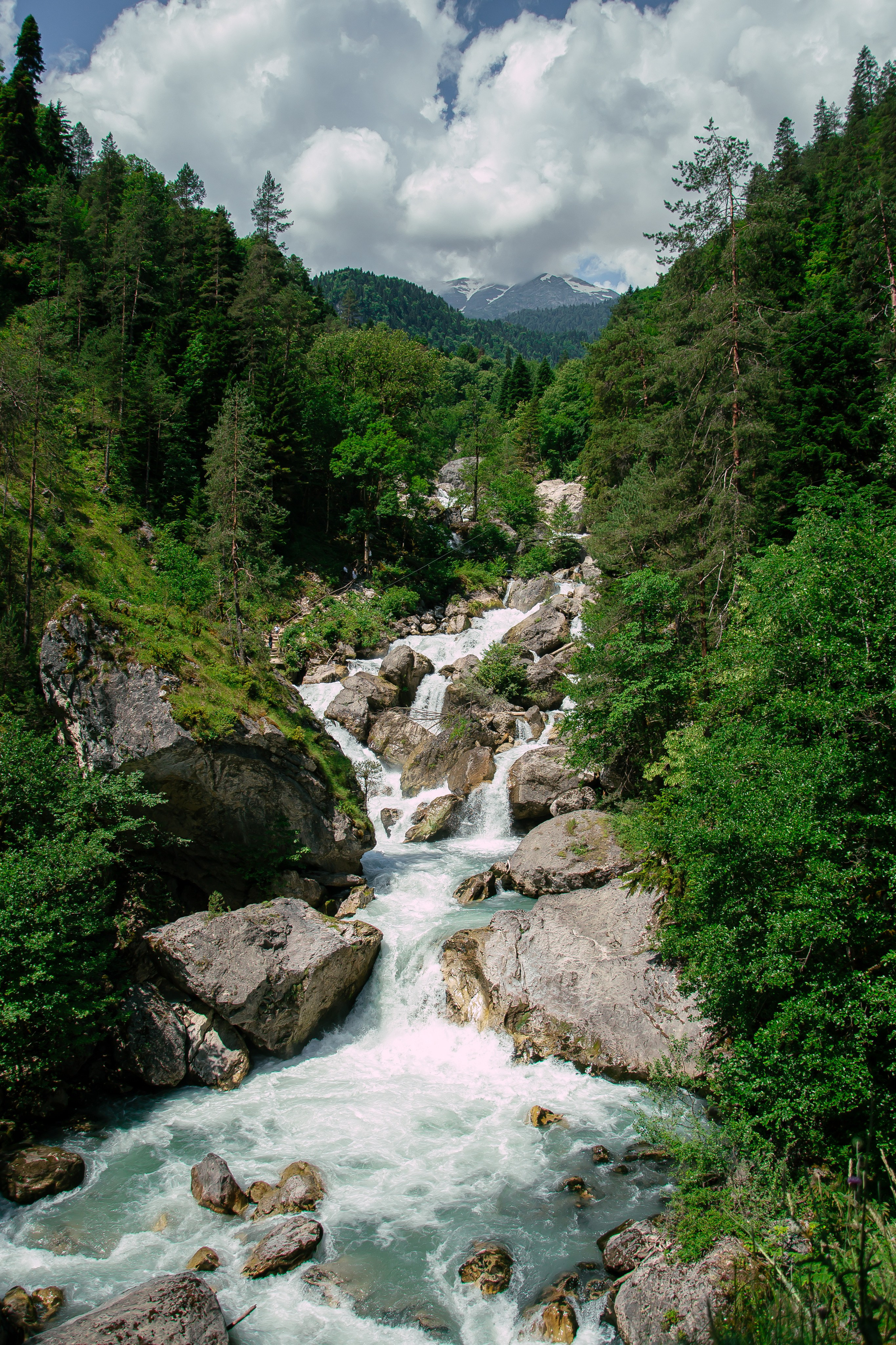 ПРИРОДА  Абхазии