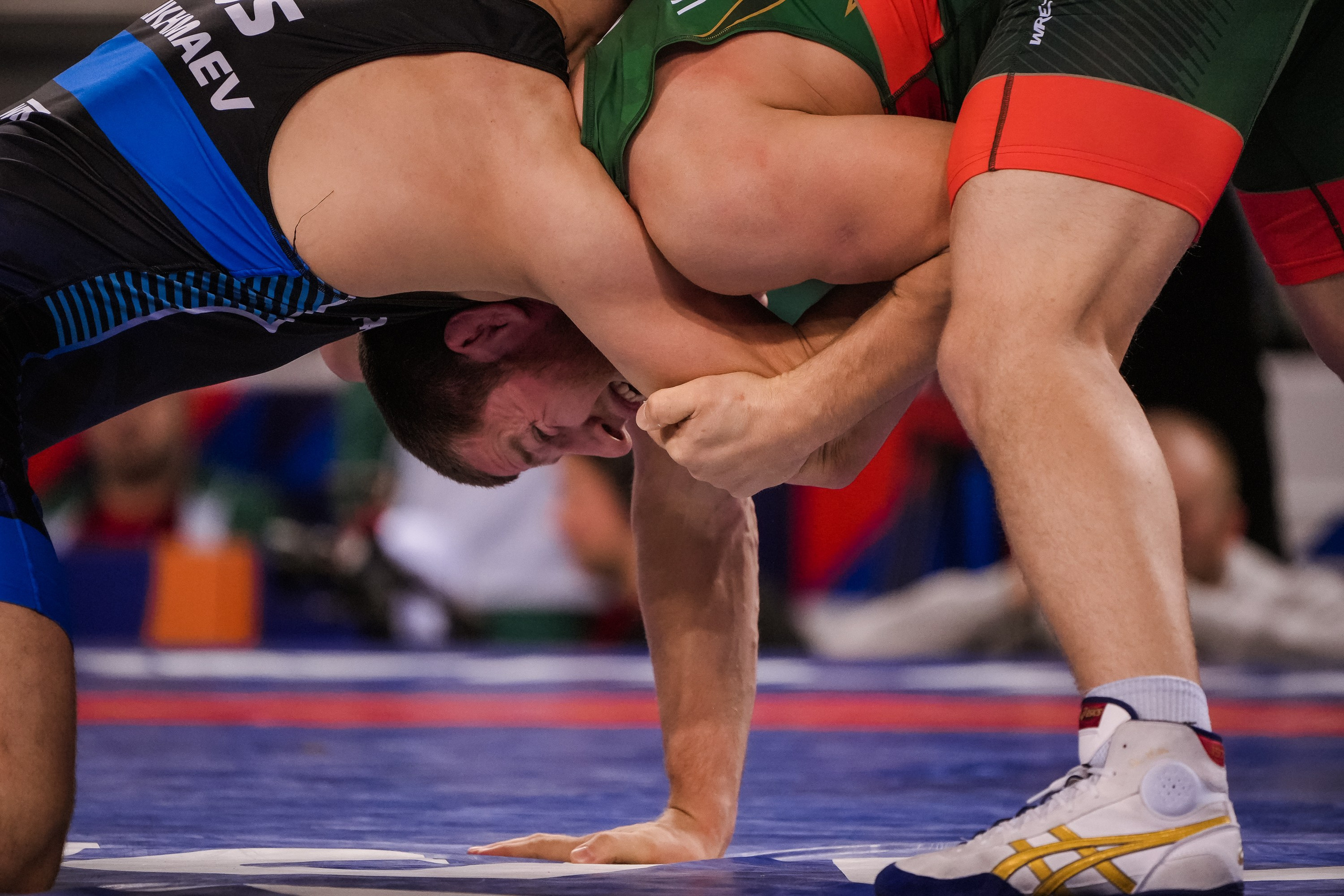 Кубок Ивана Ярыгина 2025 фотографии / ivan yarygin cup 2025 photos. Фотограф Анна Герман. Красноярск